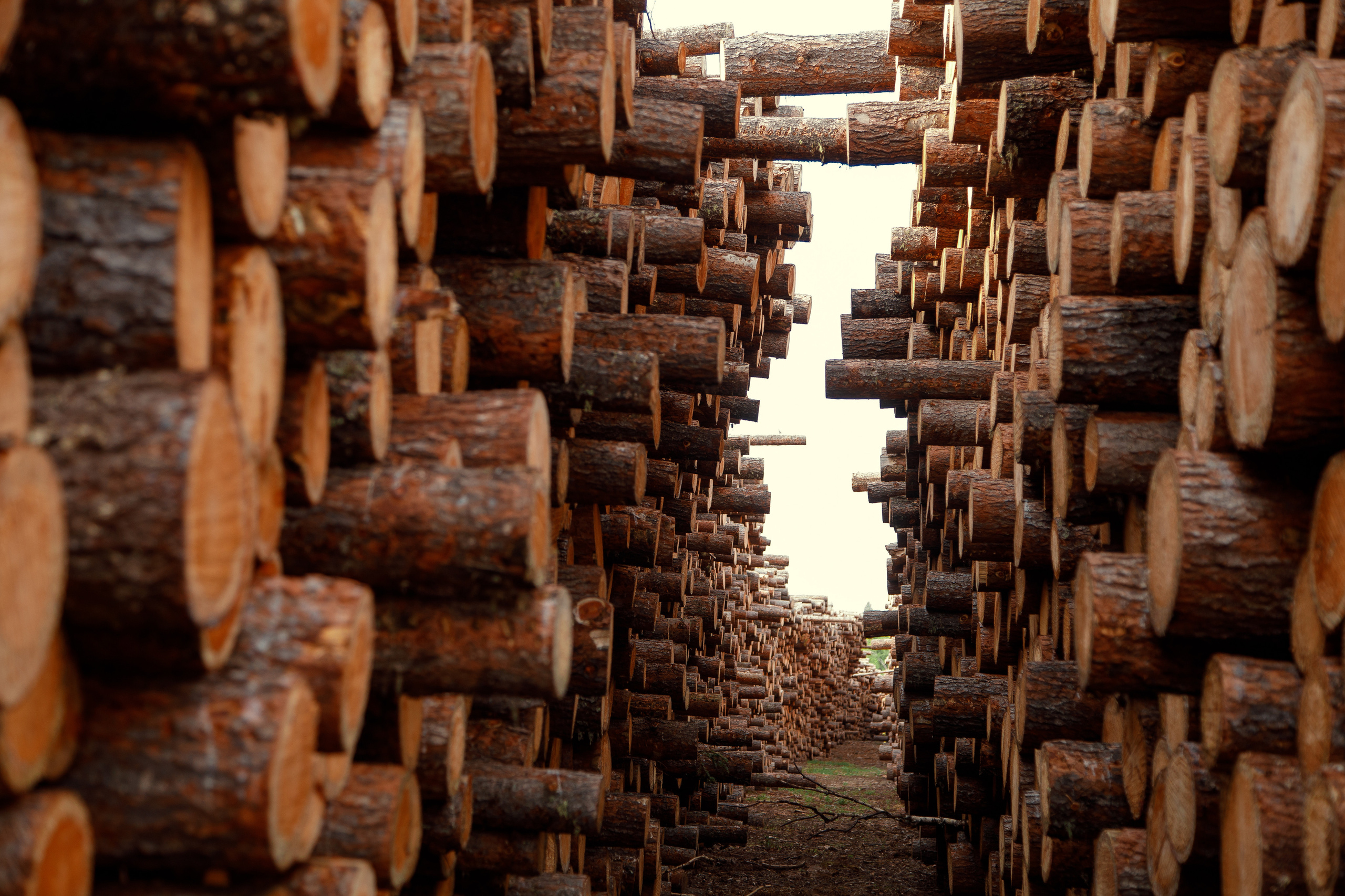 Репортаж. Студийная съёмка. Имиджевая съёмка. Бизнес портреты. ГРАНДФОТО.РФ