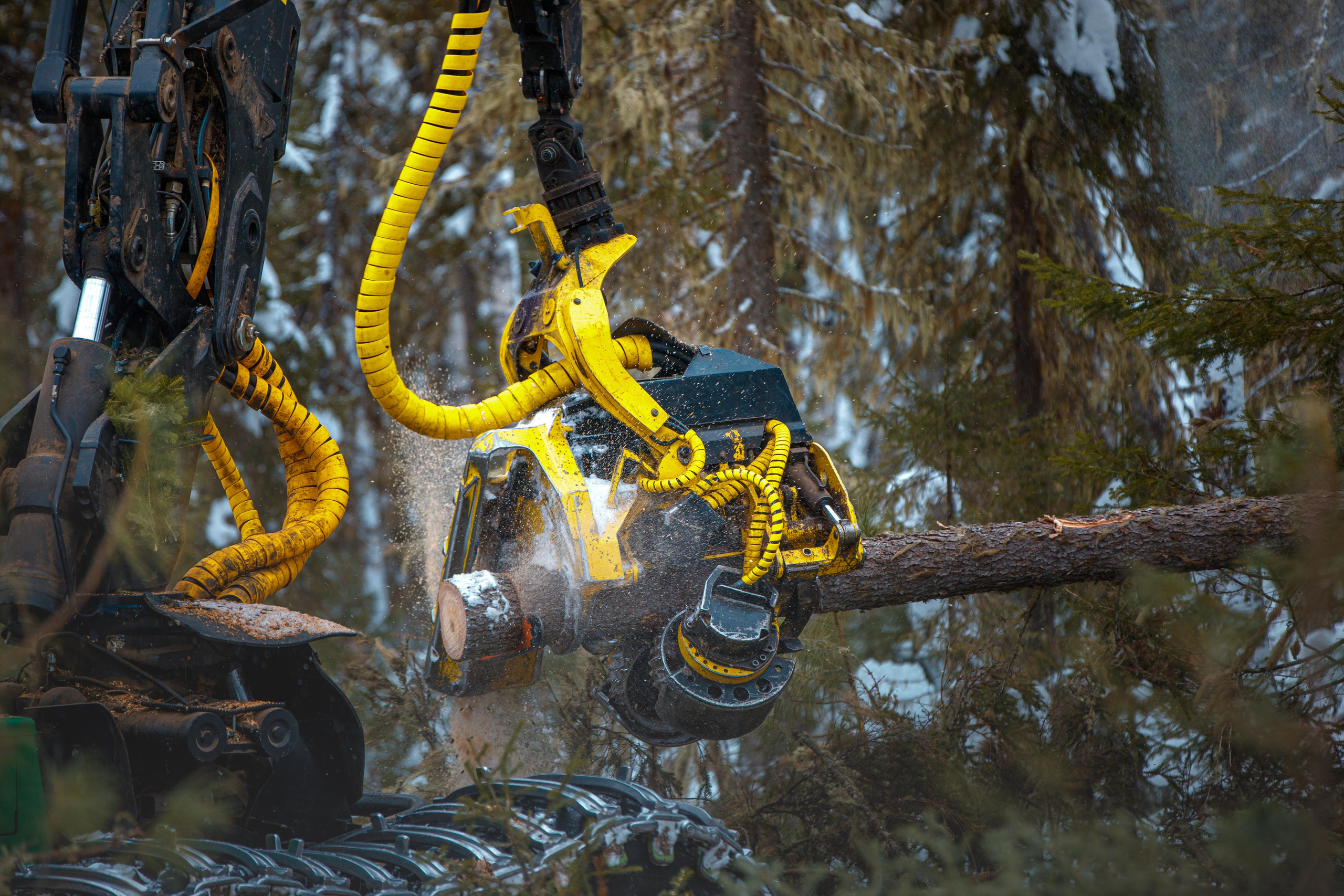 Репортаж. Студийная съёмка. Имиджевая съёмка. Бизнес портреты. ГРАНДФОТО.РФ