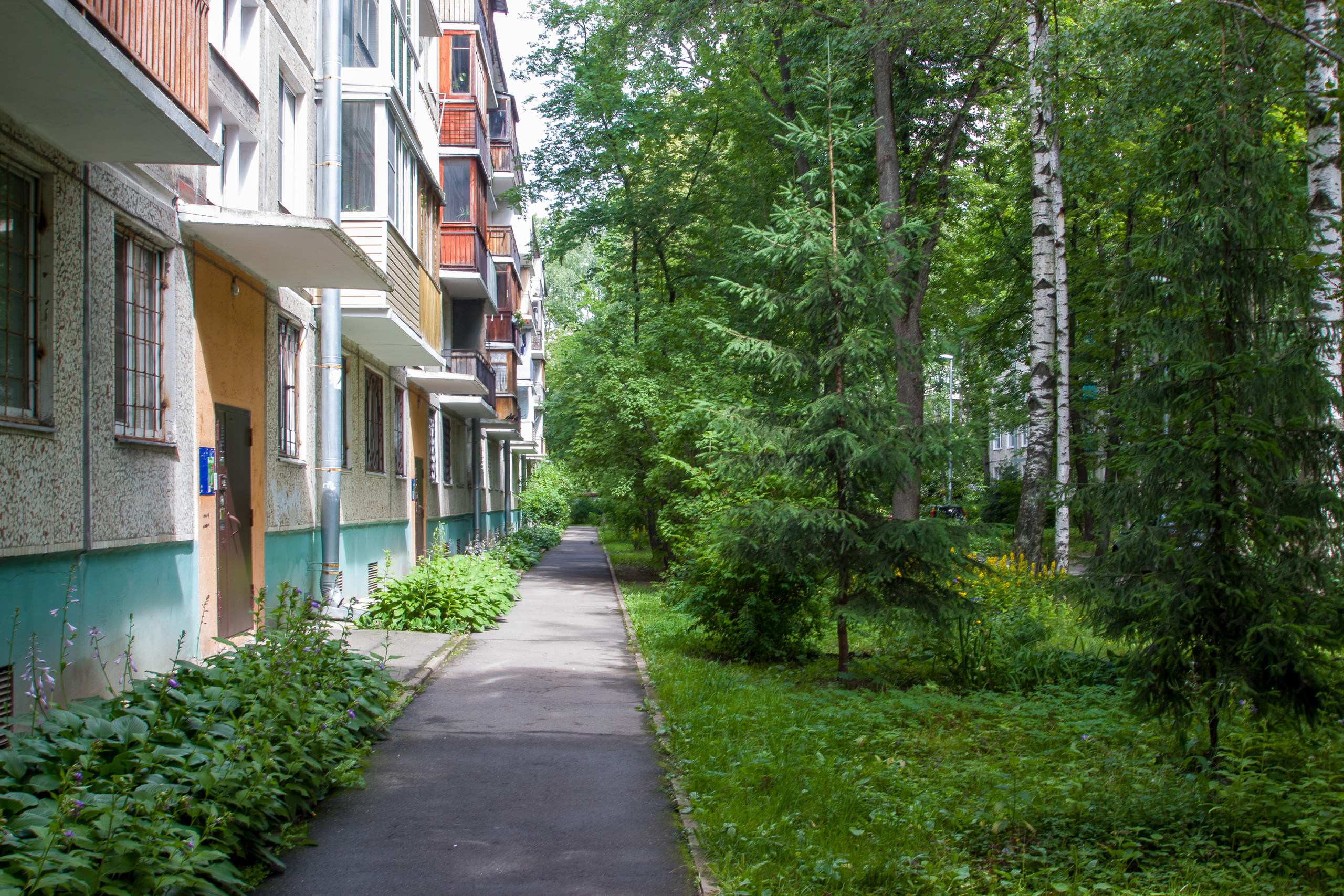 Орджоникидзе. Главная