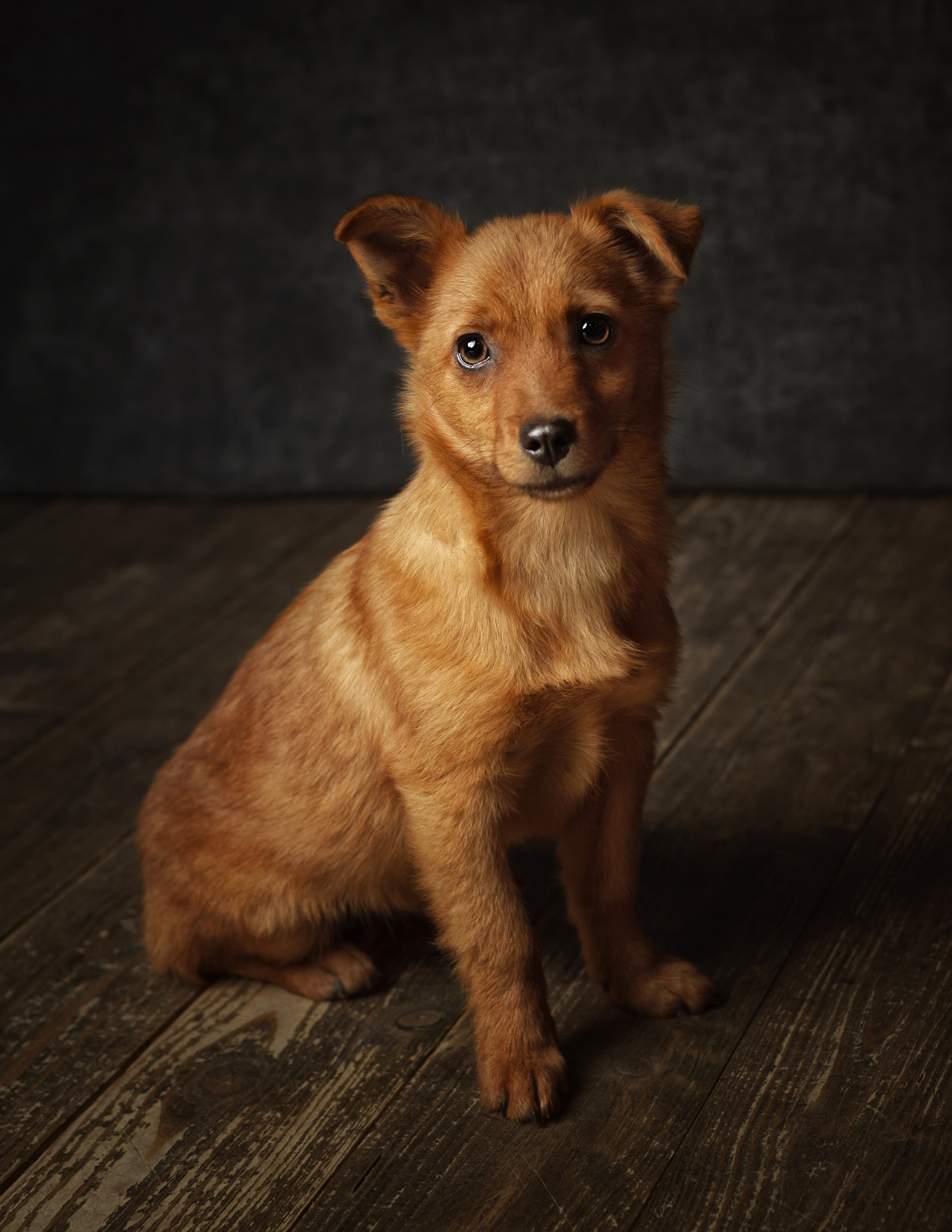 ДРУГ, НАЙДИСЬ. Антон Тимошевский, профессиональный портретный фотограф в Москве и Орле