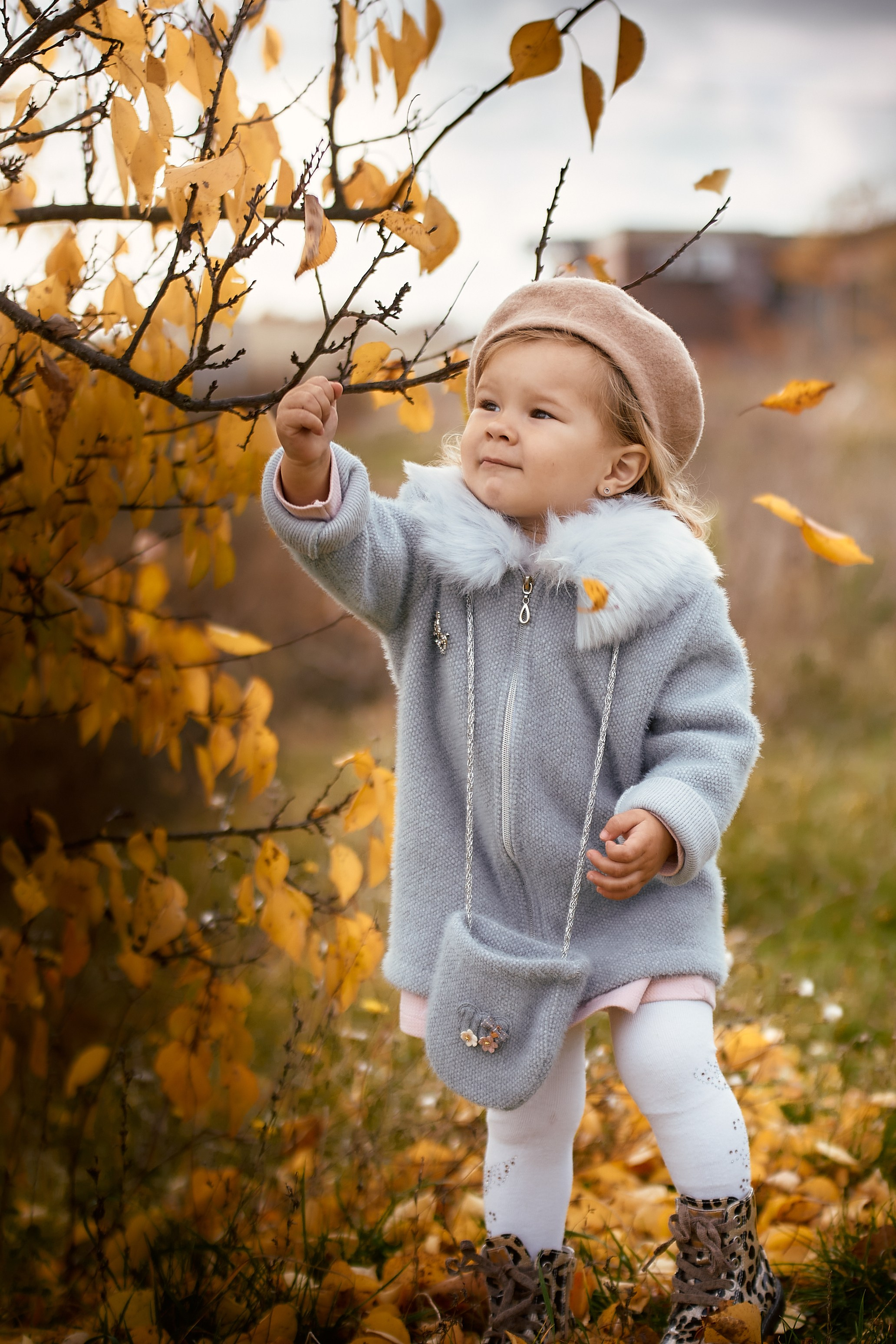 Осенняя фотосессия 2024. Петр Ступень. Свадебное, семейное фото и видео. Москва. Краснодар