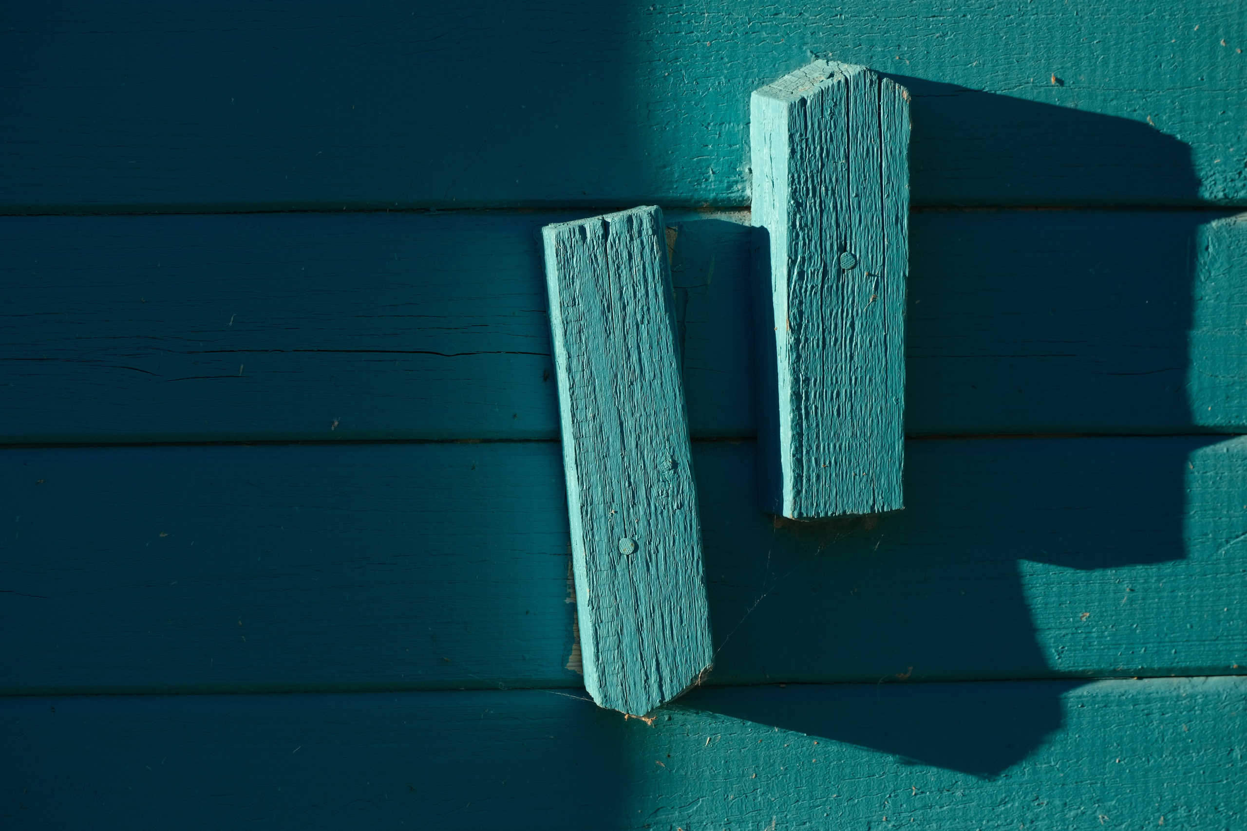 Русский север 27.09.25 — 05.10.25. Фотострелка