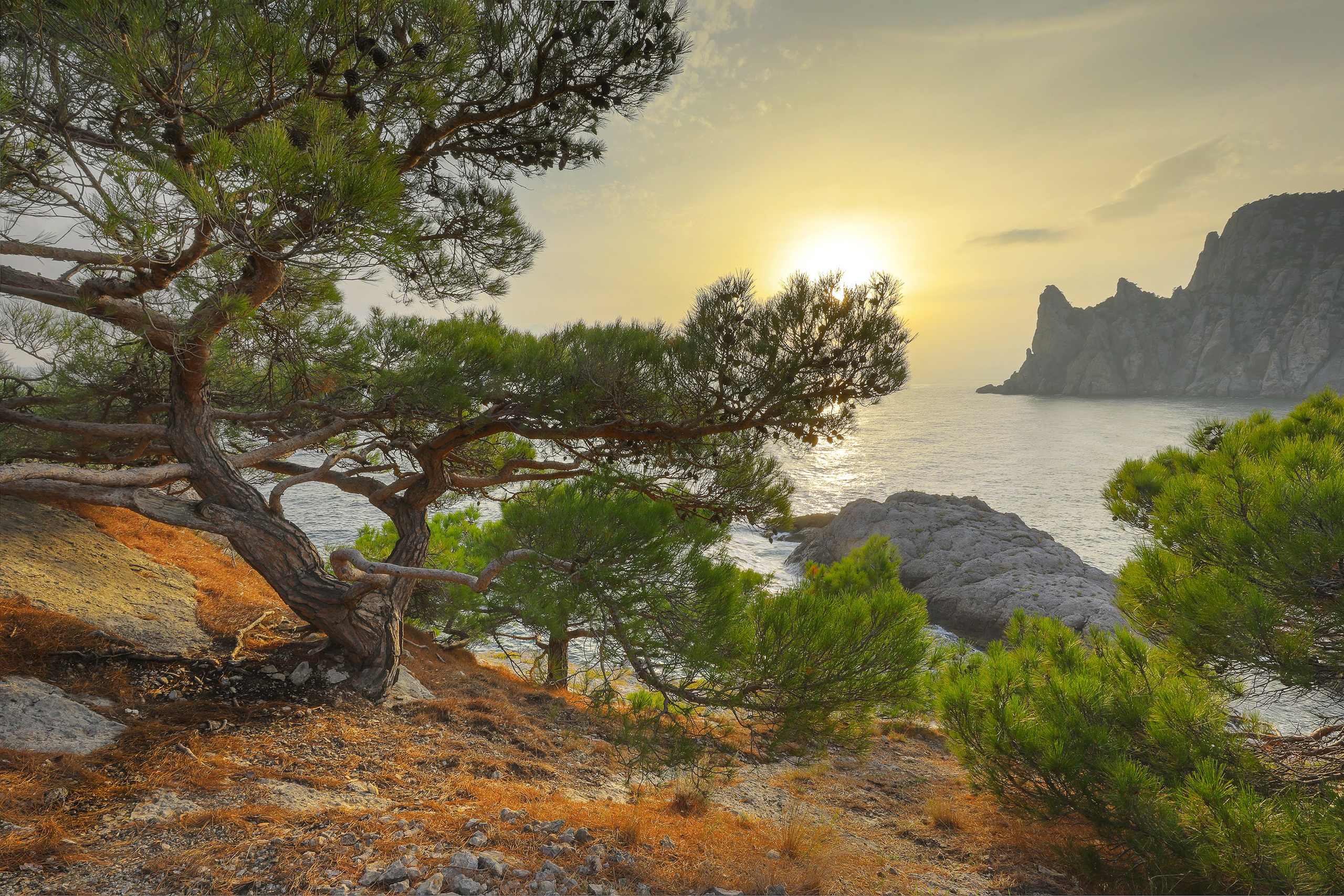 Ландшафтный фотограф Андрей Лысиков, Москва