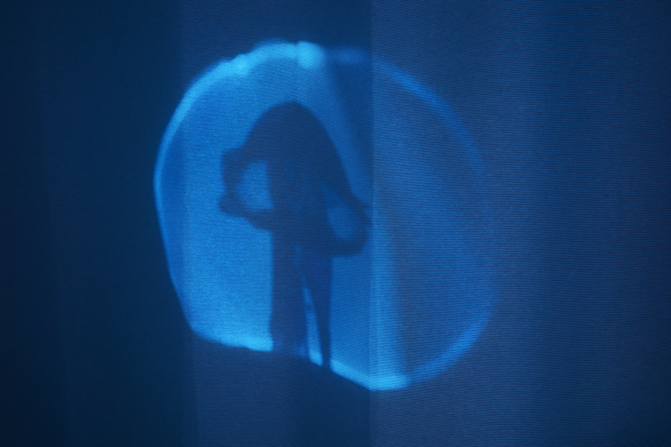 Тени весны 🪼. Миша Печёнкин | фотография