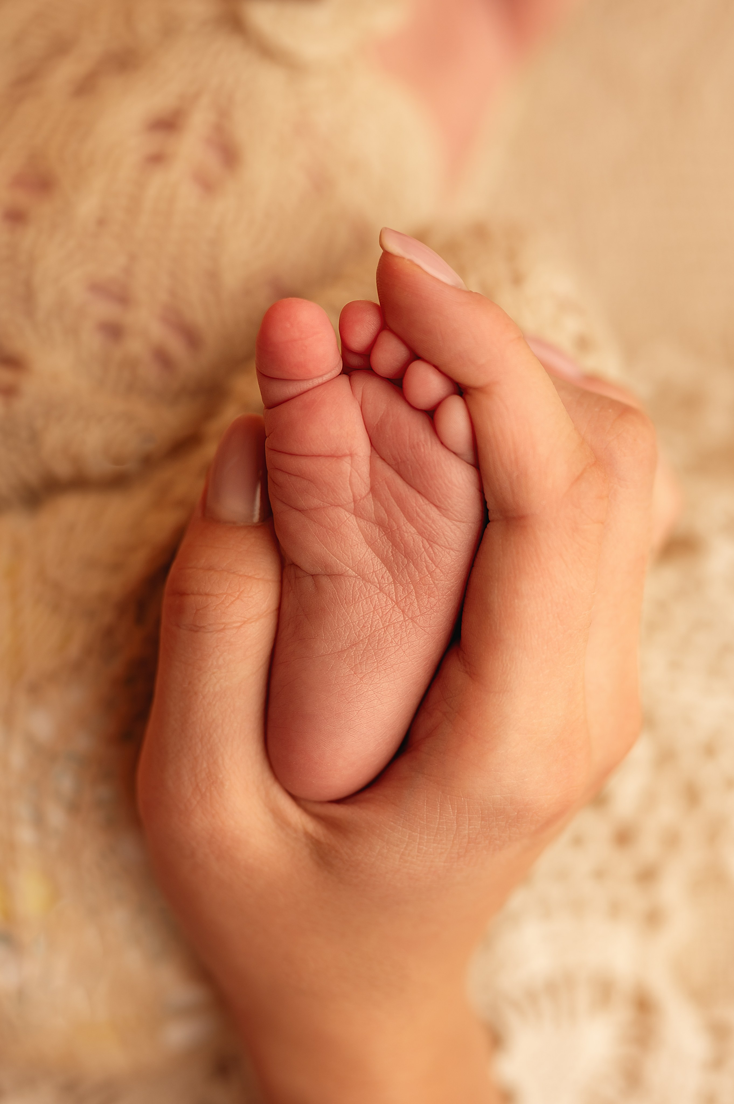 Фотограф новорожденных и детей до года в Краснодаре Ольга Гладенко