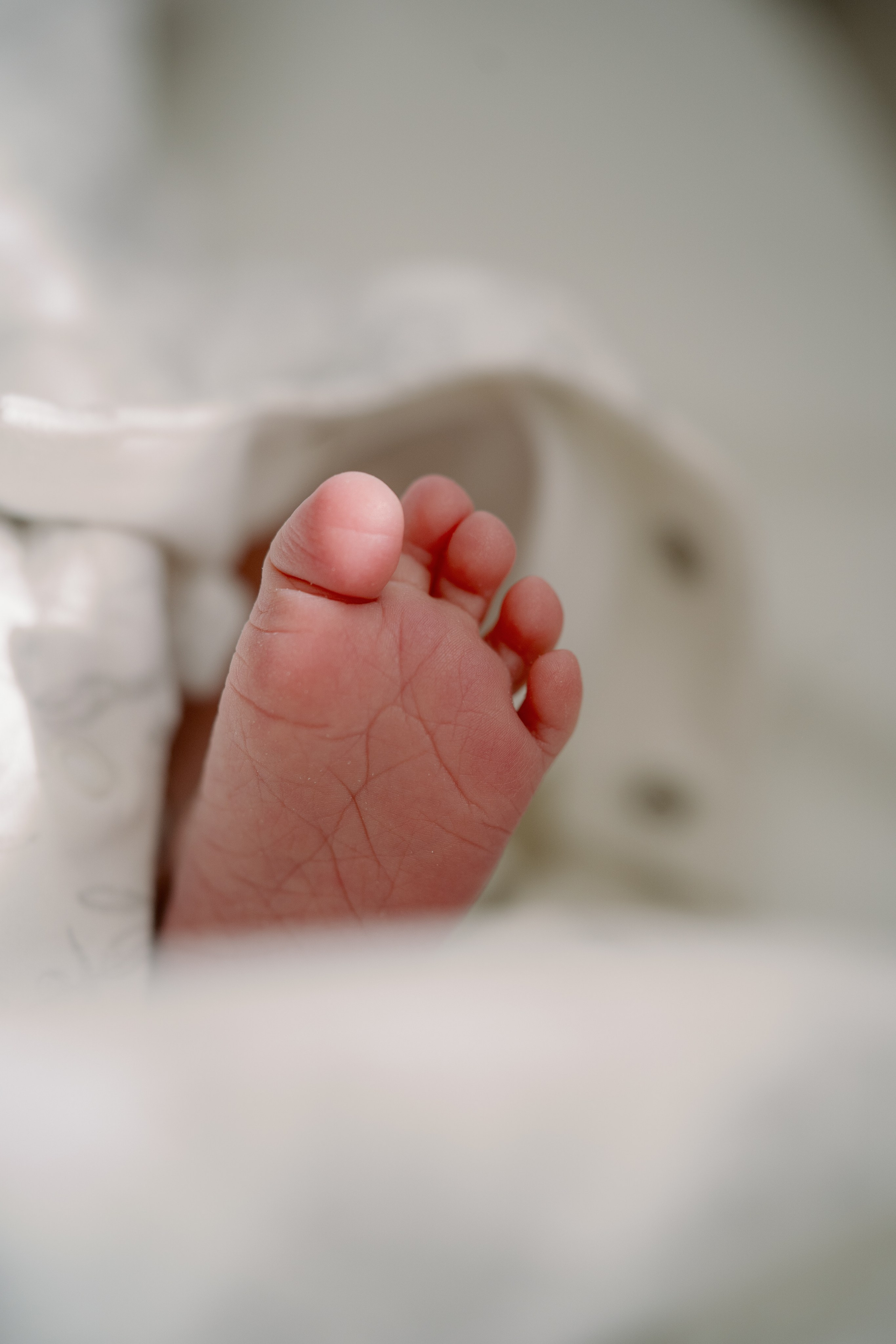 Family photographer in abu dhabi dubai sharjah fujeirah