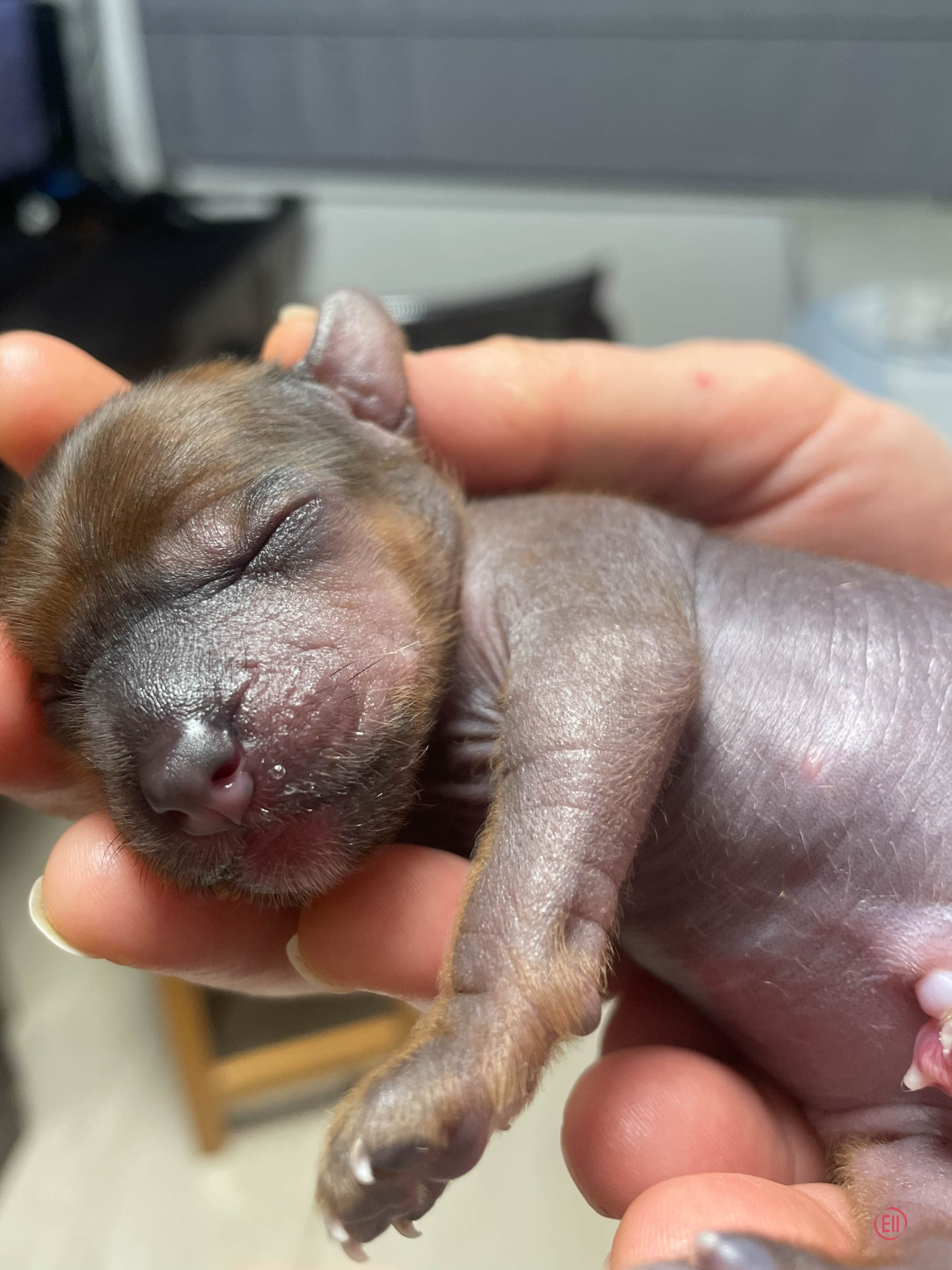 День рождения. Голая девочка.