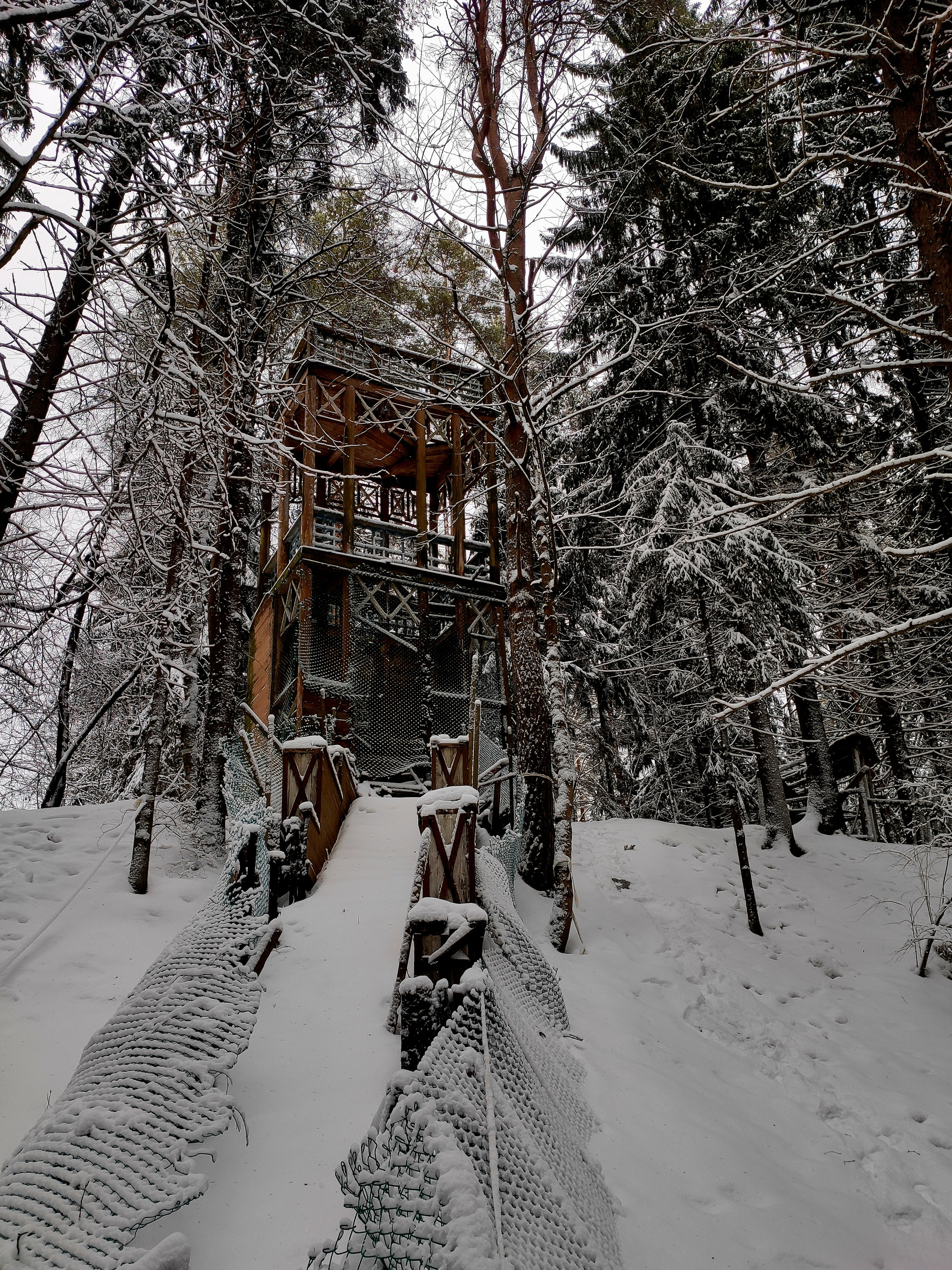 Дорожки расчищены