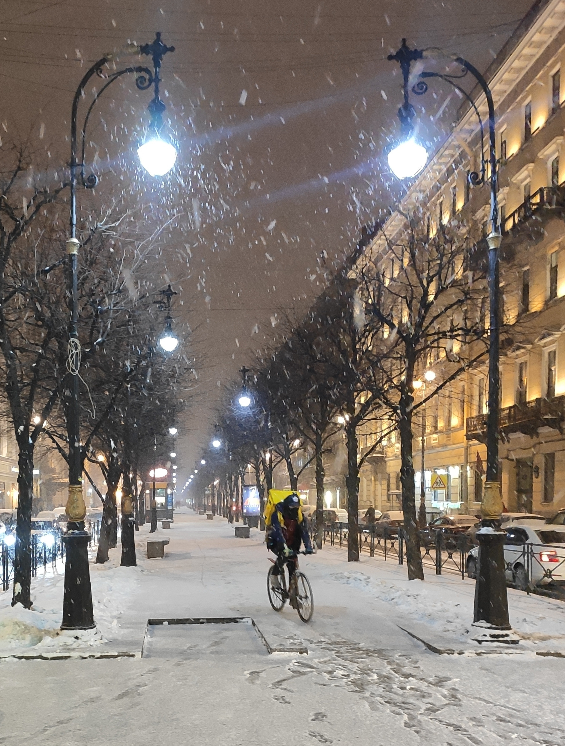 И только одинокий след от велосипеда прорезал белое полотно бульвара