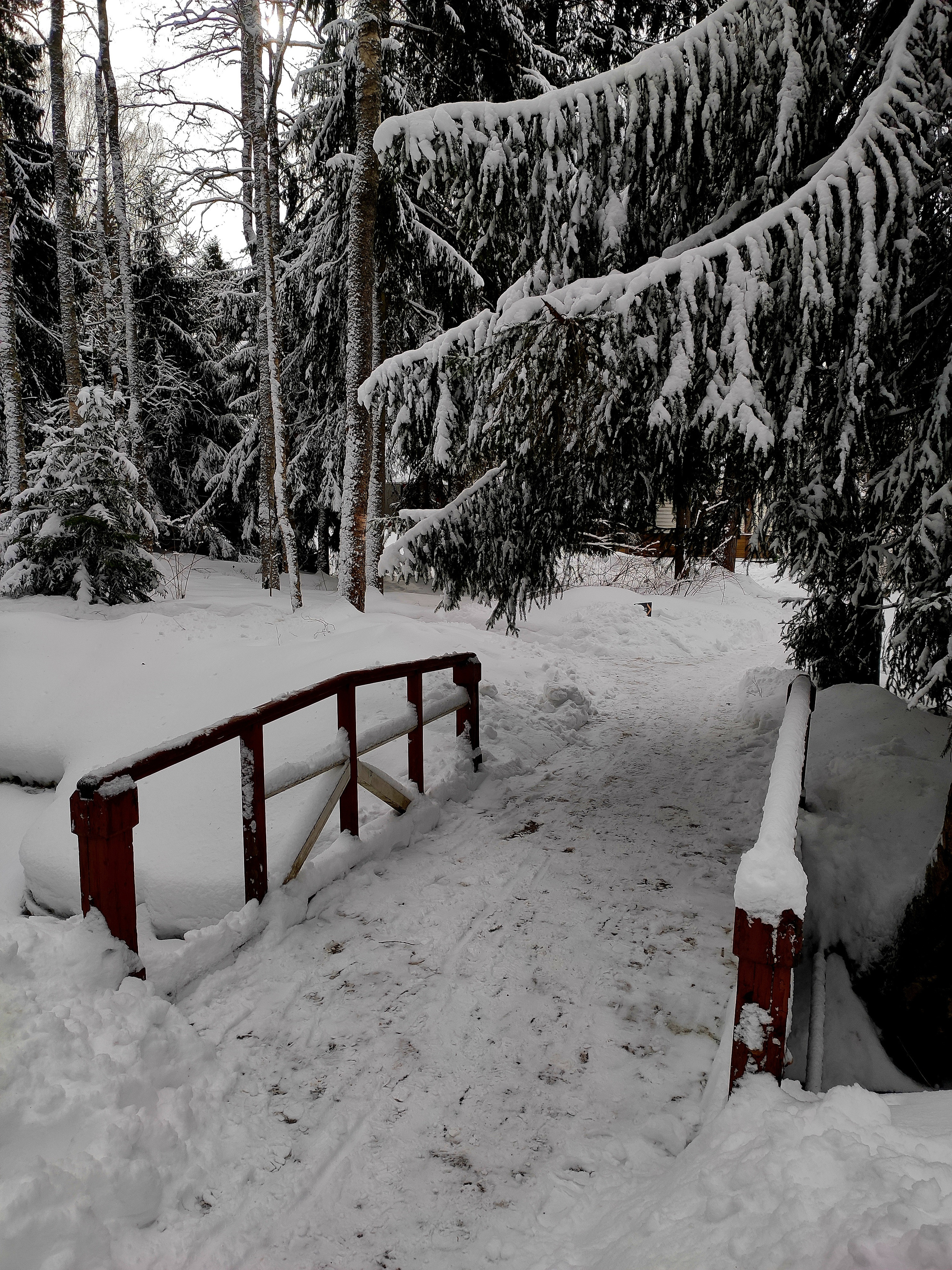 Прогулялись по парку