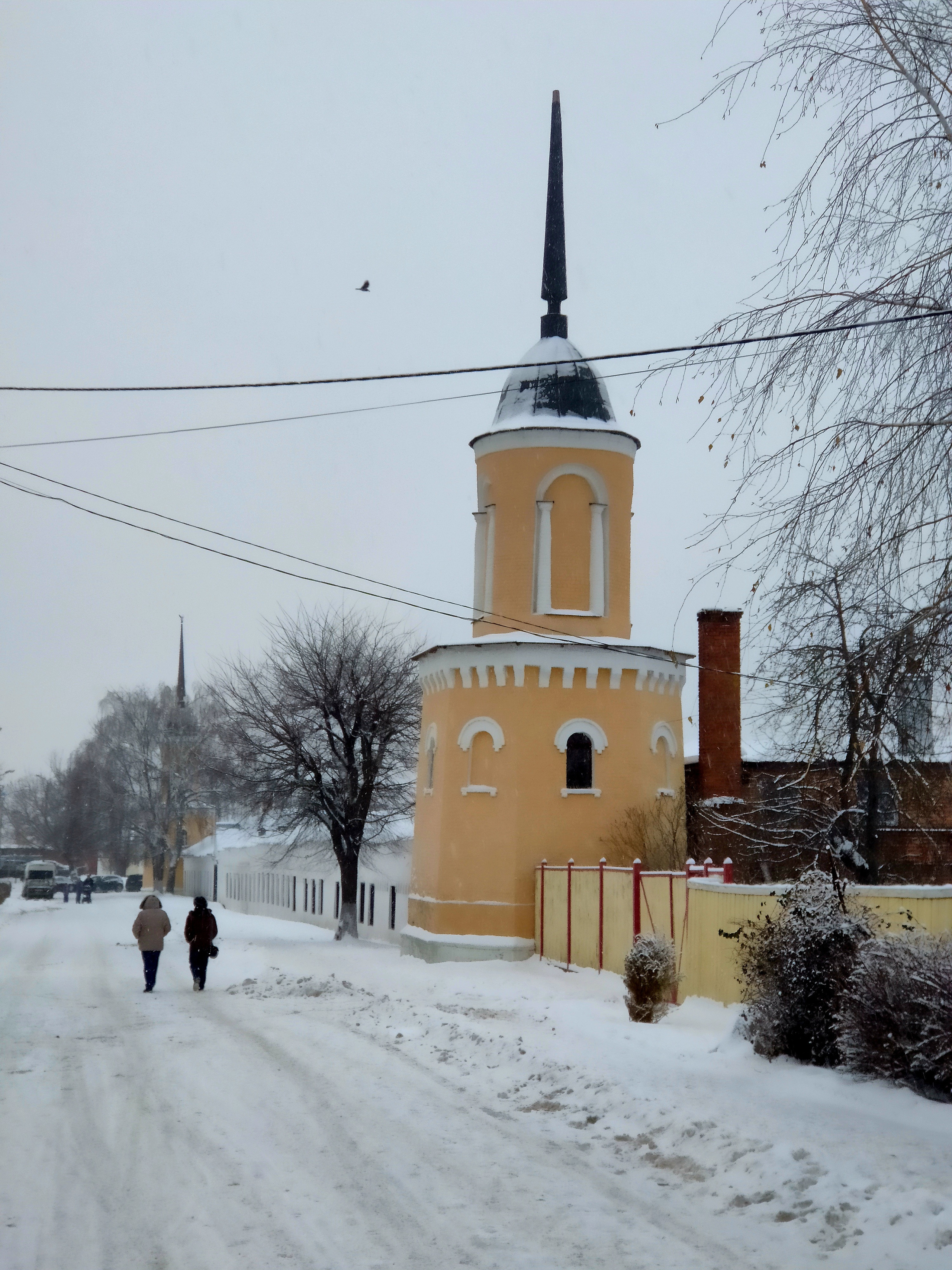 Коломна. 01/21. Walk&Fly with Batay