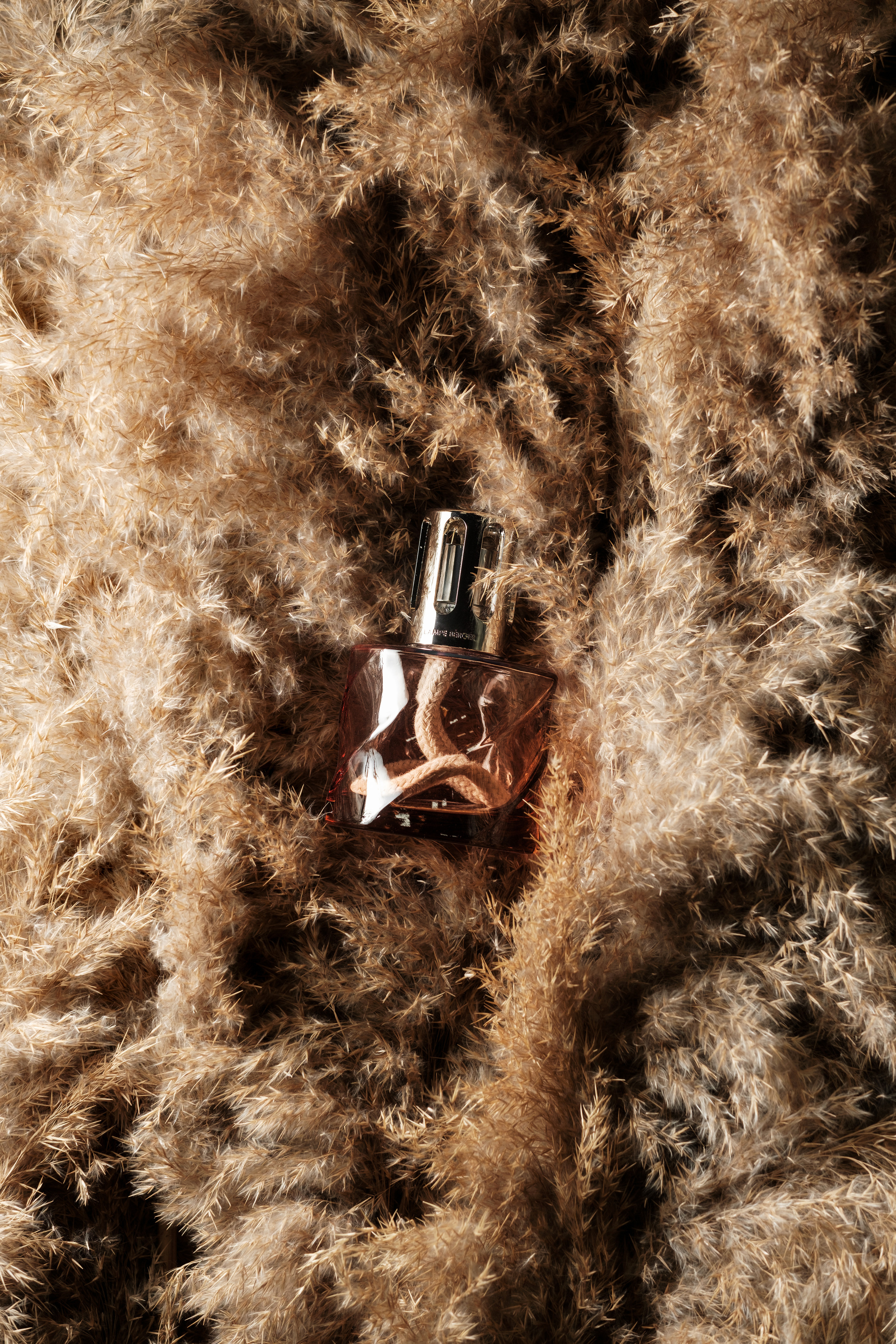 Предметка. Фотограф в Алматы Игорь Заритовский — zaritovskiy.com