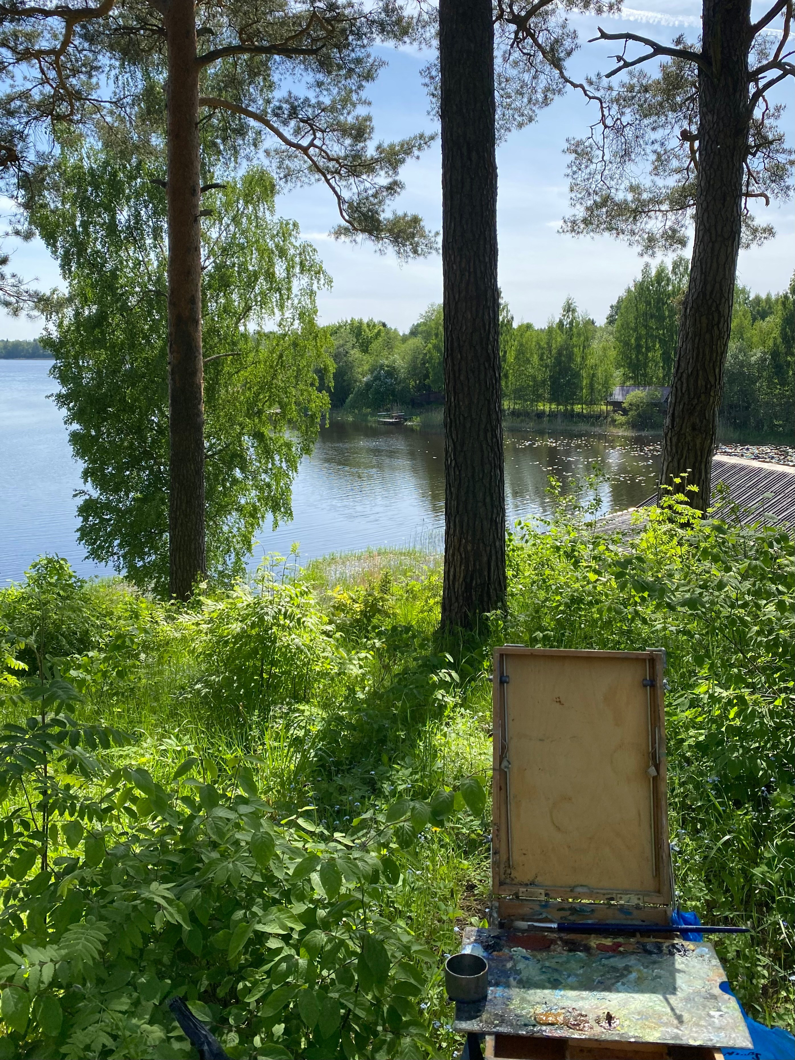 Работа. Живописец Ирина Пинская