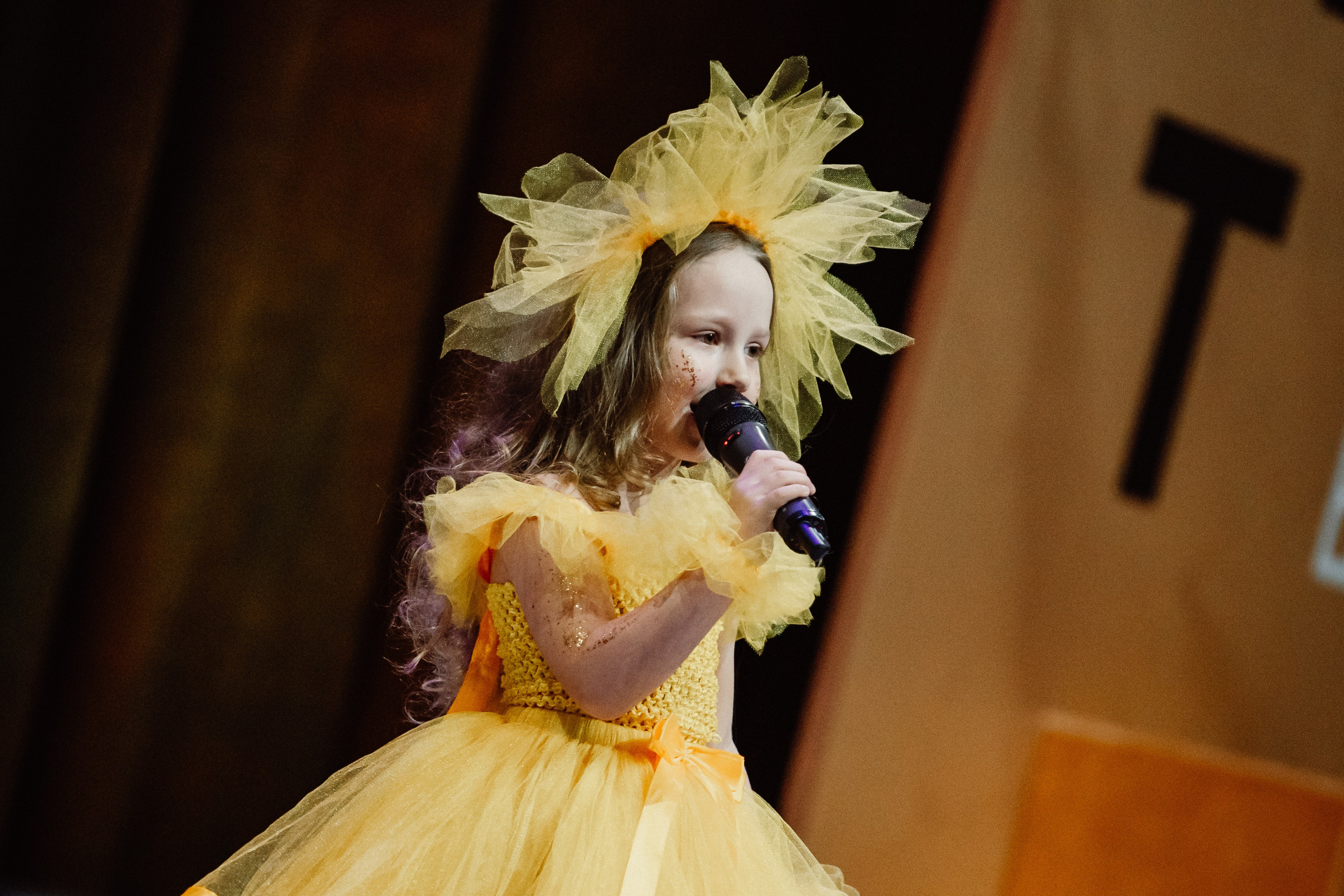 IX Чемпионат Искусств — День 1. Воробьева Ксения — Спортивный и танцевальный фотограф Новосибирск