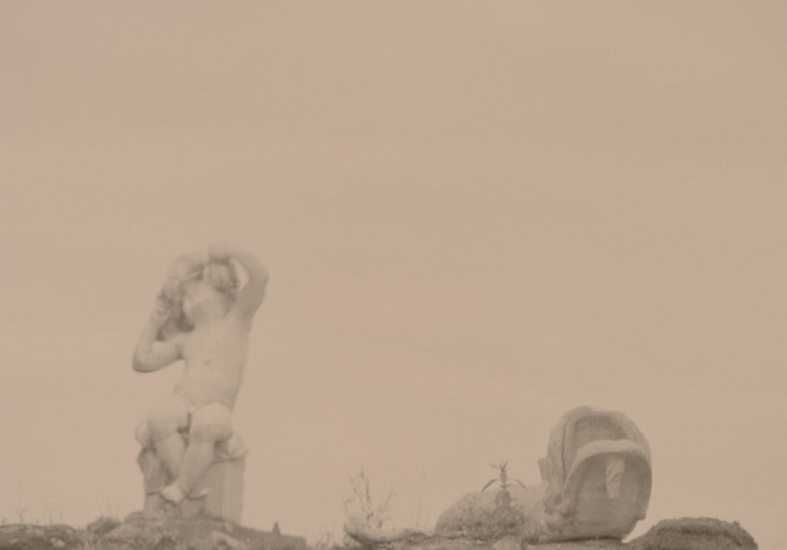 Русский Сон. Елена Цихон художник фотографии и мастер фото-ДНК