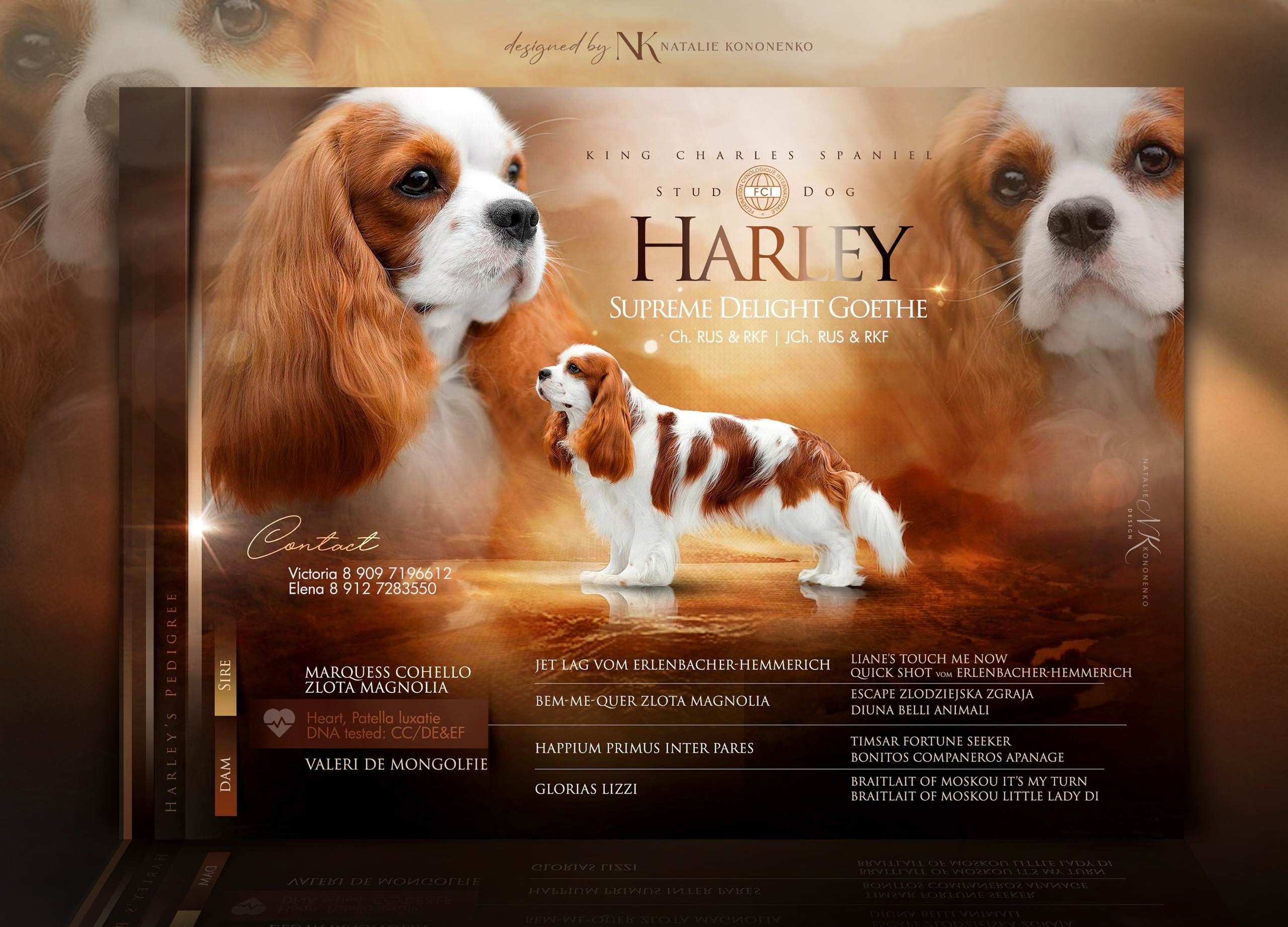 Graphics For Breeders. NK GRAPHIC ATELIER FOR BREEDERS