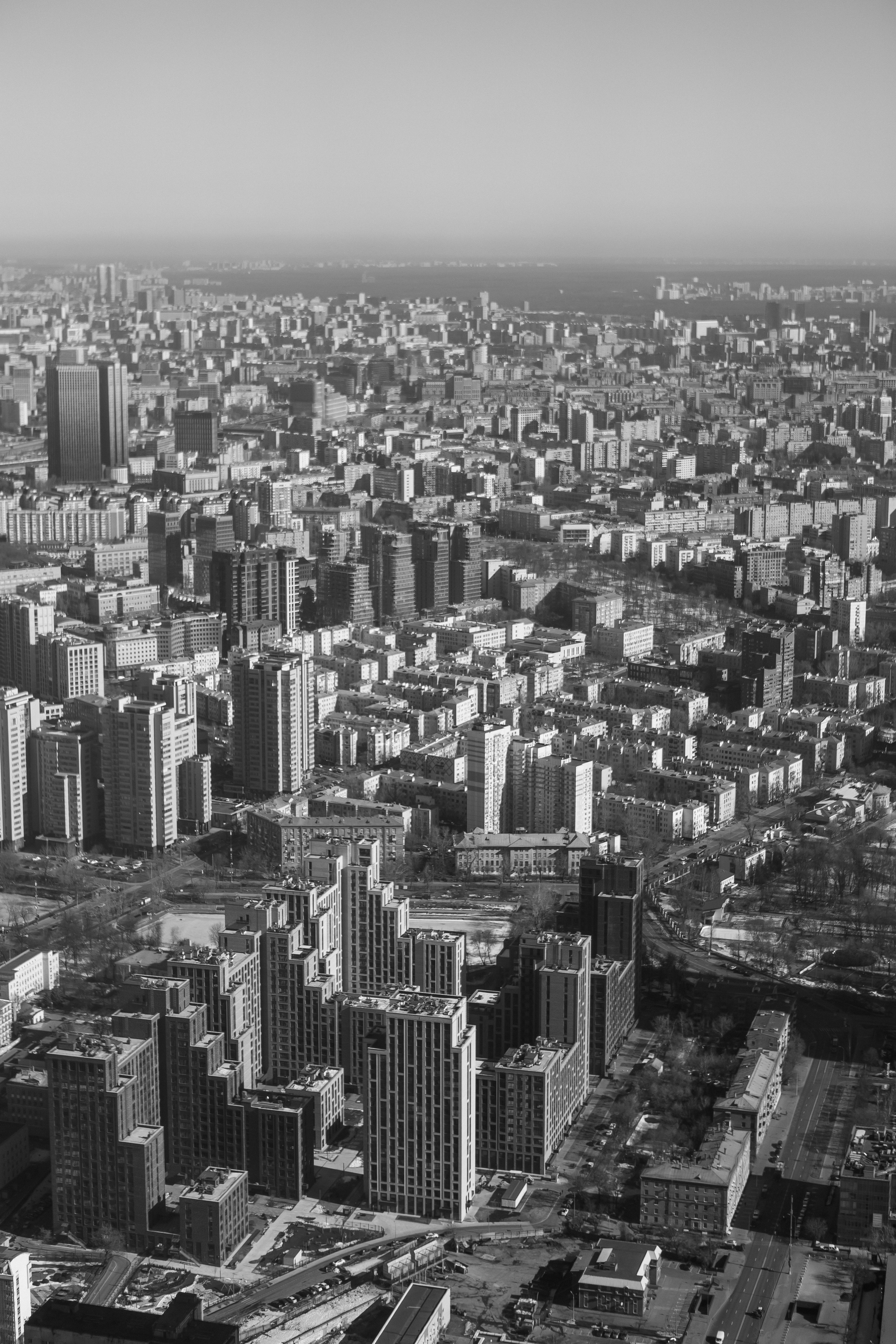 свадьба, свадебный, москва сити, свадебные фото, свадебный фотограф, birds