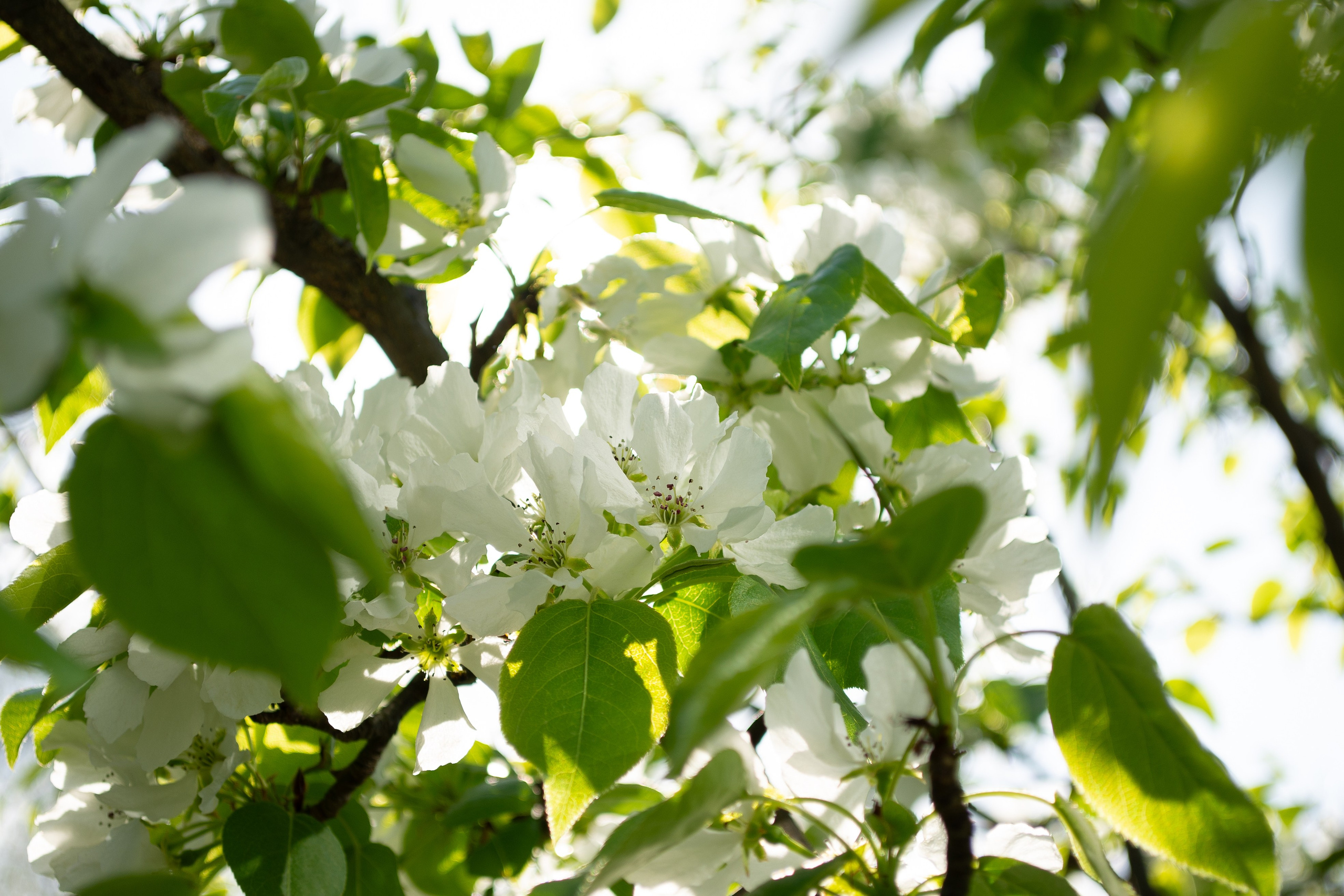 Victoria Radjevna Репортажный Фотограф — Видеограф Москва • Санкт-Петербург