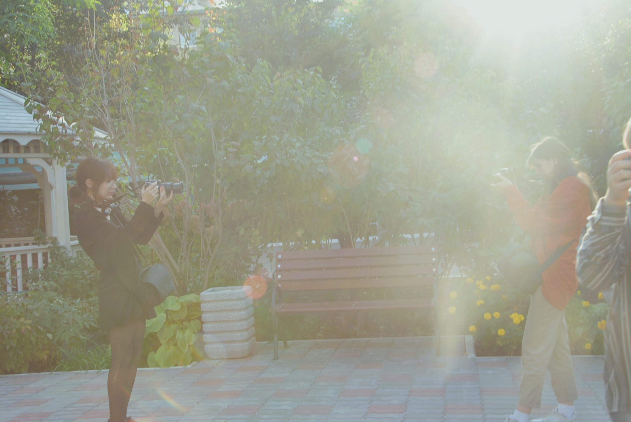 Проект «Рублёв Андрей». Фотокрыжовник. Снимаем, дружим, путешествуем