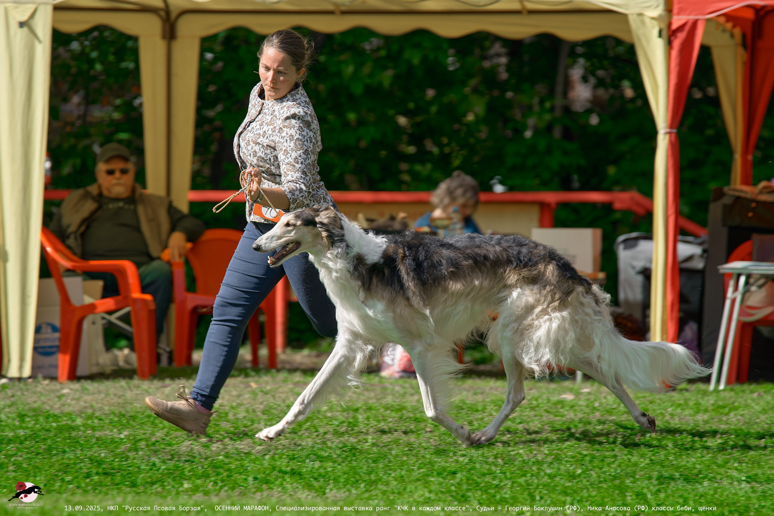 ОСЕННИЙ МАРАФОН | Специализированная выставка породы Русская Псовая Борзая ранг "КЧК в каждом классе"