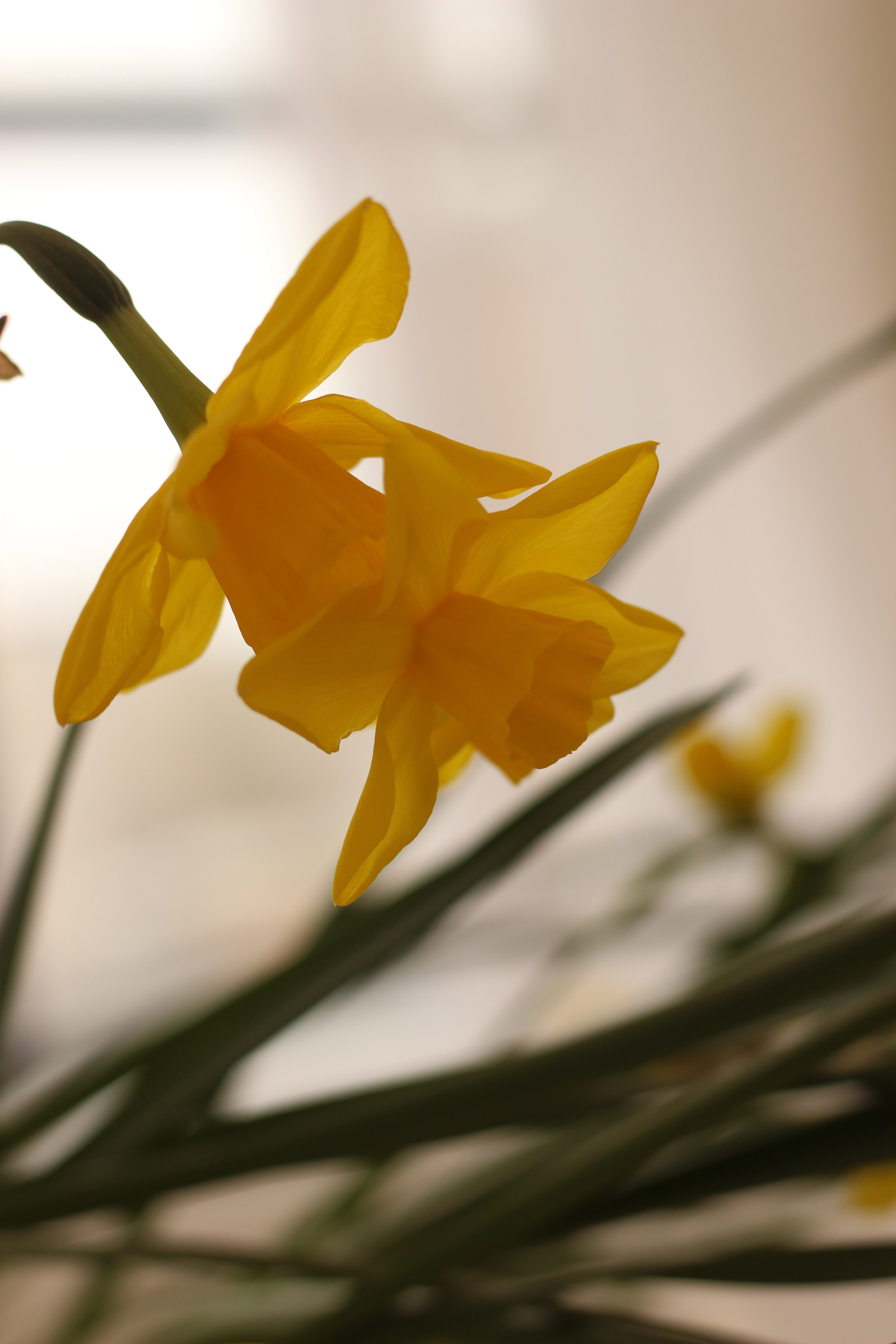 Конфиденциальная съемка в фотостудии «Moon». Фотограф Красноярск