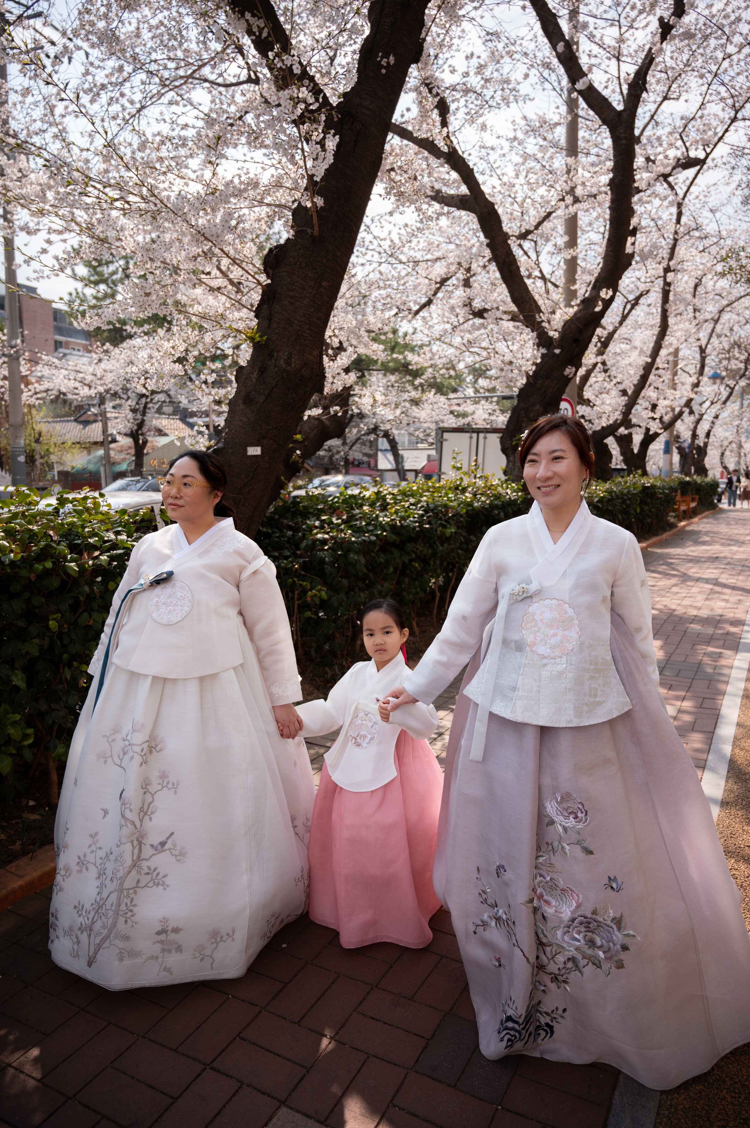 Romantisches Paarshooting unter Sakura Bäumen in Busan