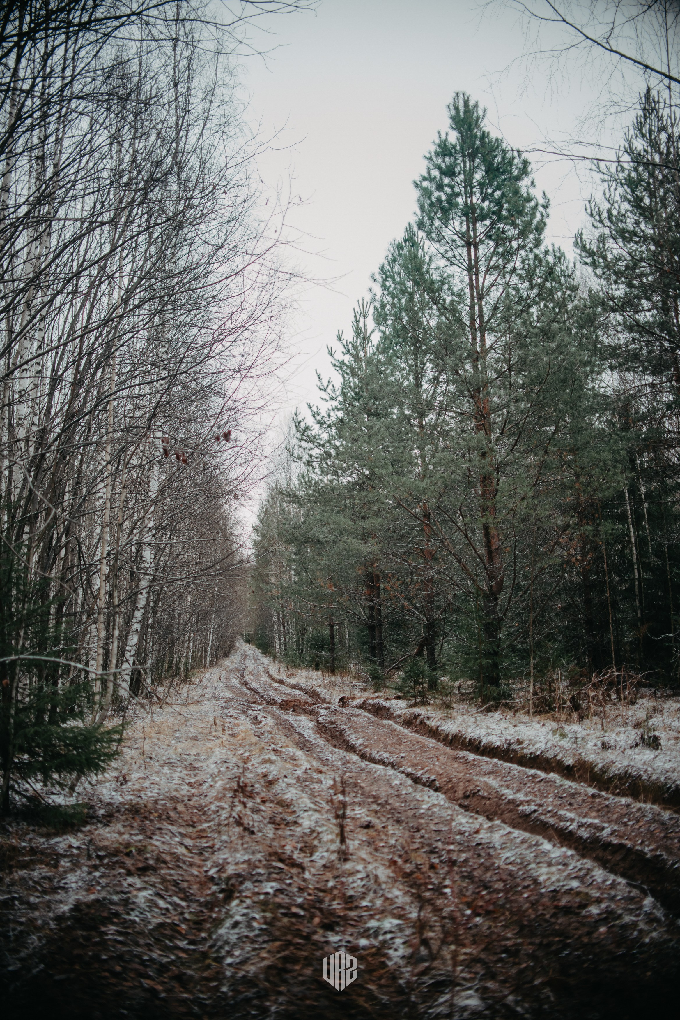 «Затерянное Вятки». Путь на «поющие пески». Контент фотограф Илья Урс