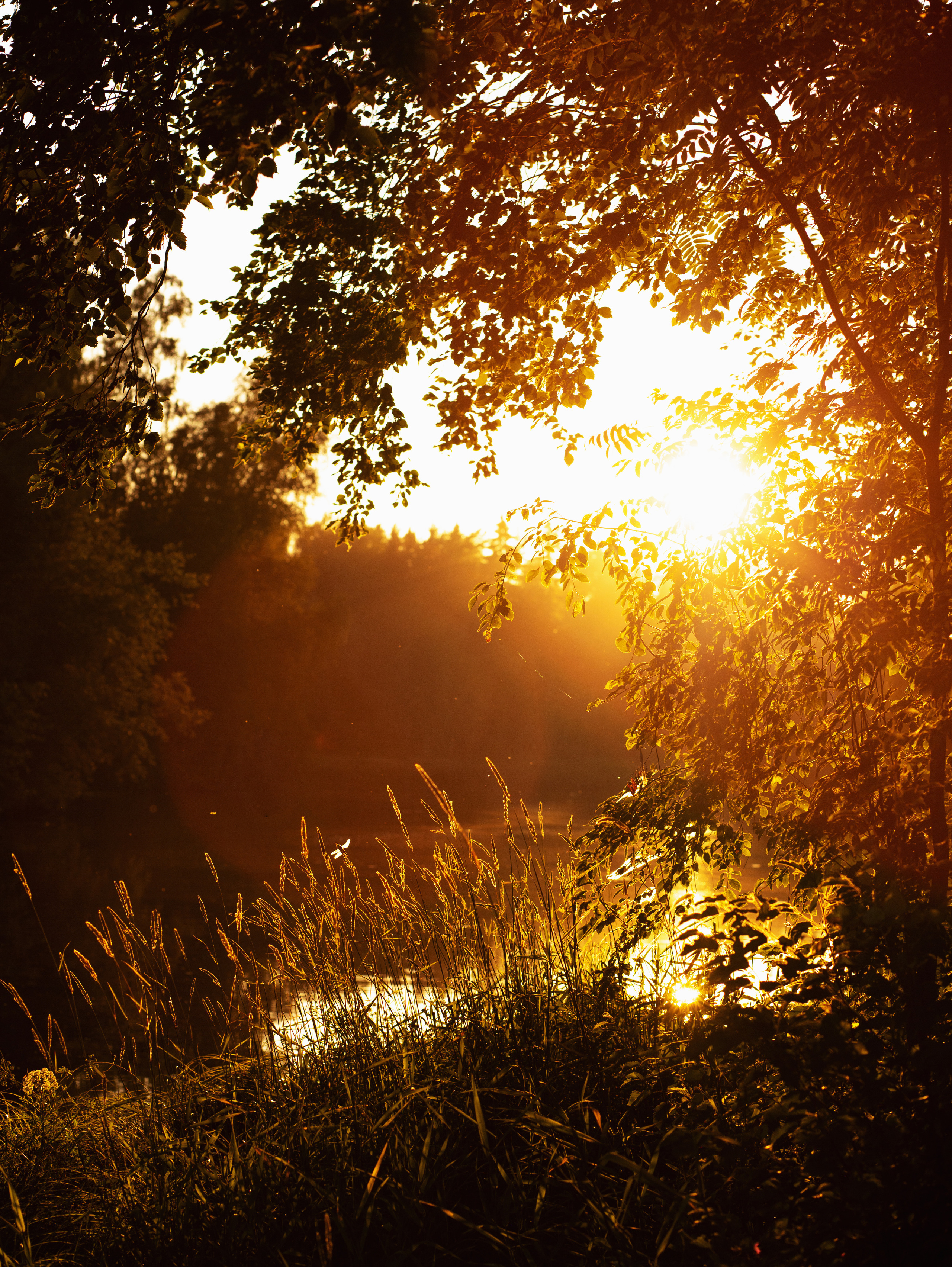 Инстаграмм. Семейный фотограф в Санкт-Петербурге Ирина Иванова