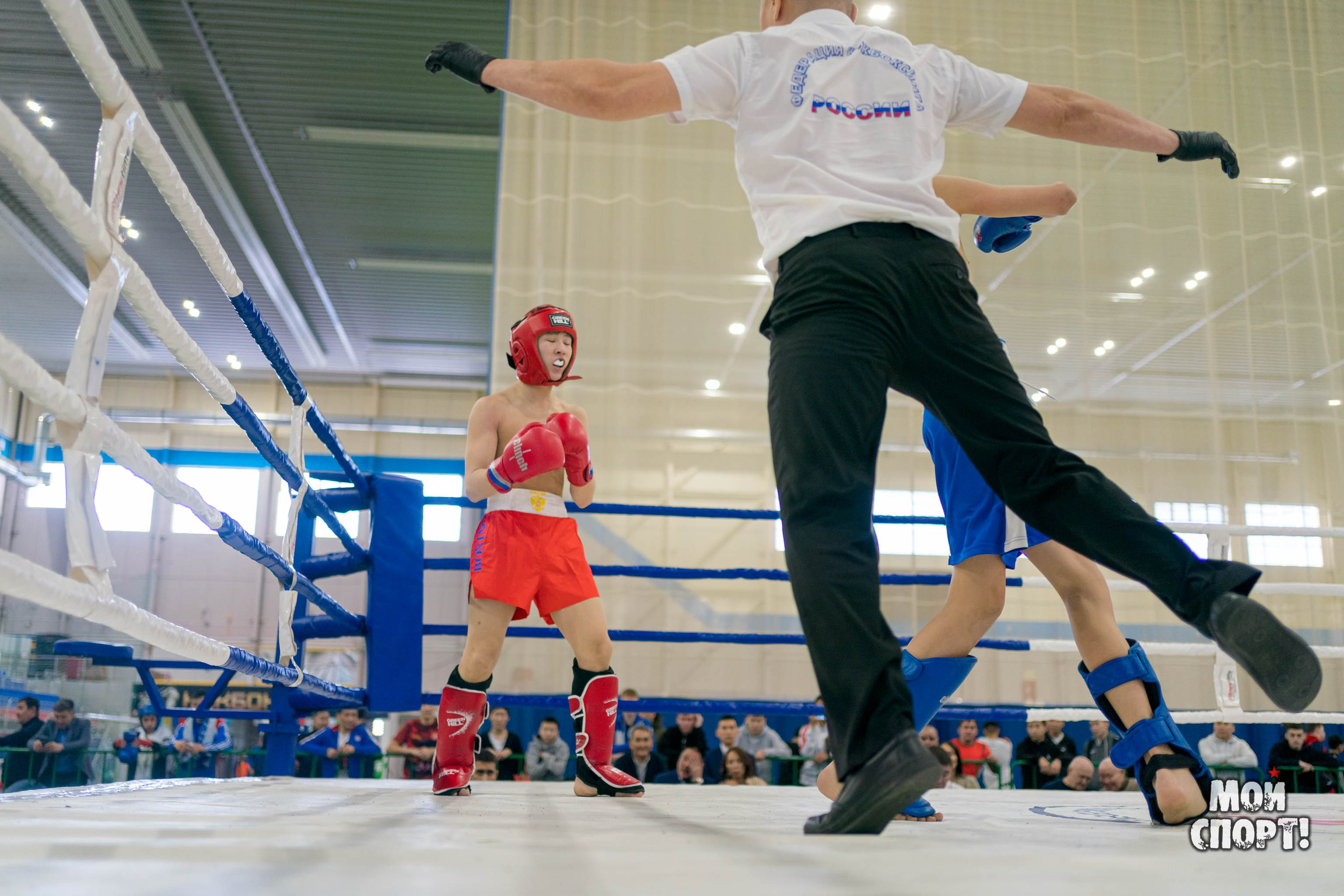 Чемпионат и Первенство ДФО по кикбоксингу памяти А. Иванова. Студия «Мой Спорт!» — все о спорте в Якутии