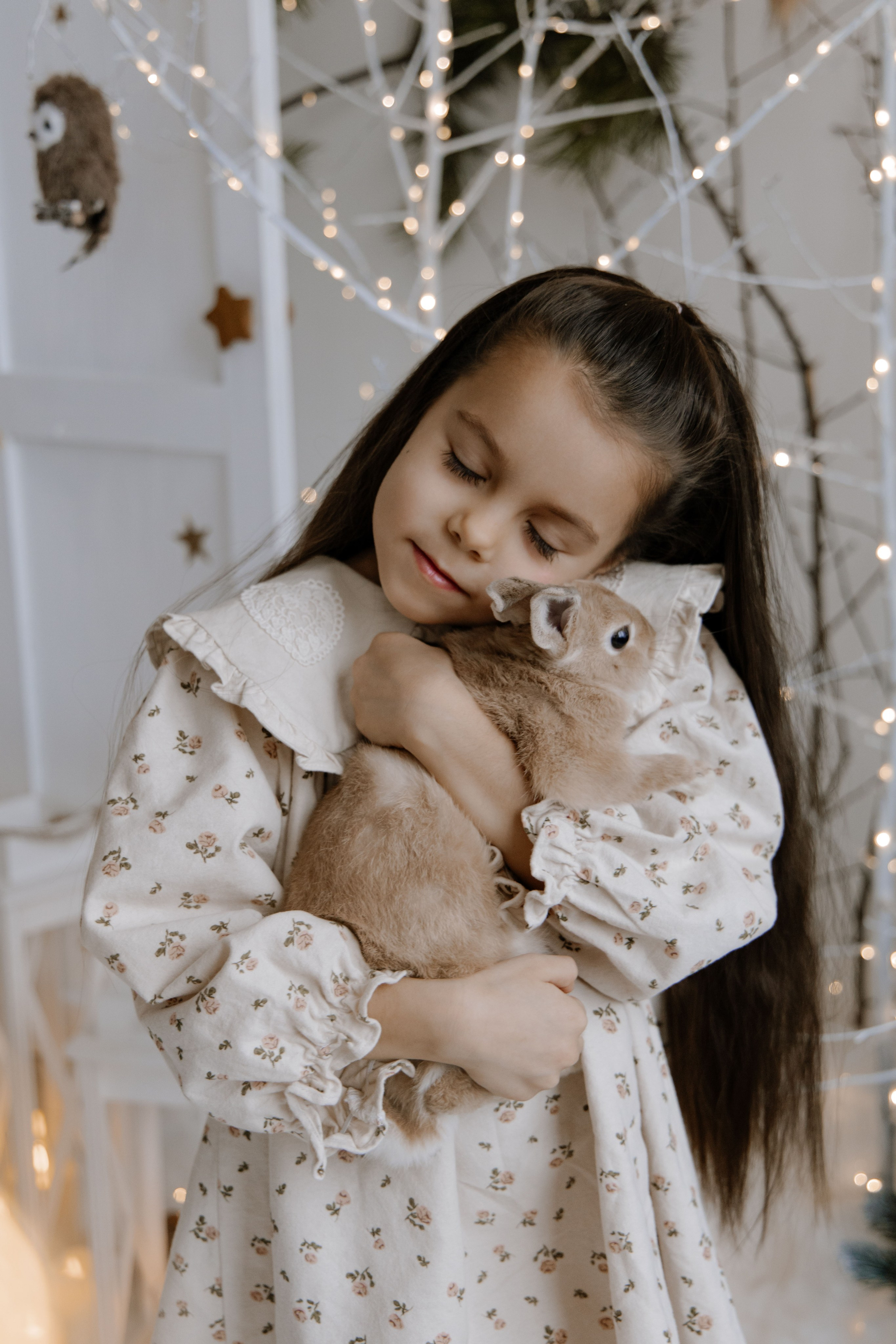 Волшебный лес c кроликом🐇. First-foto.ru