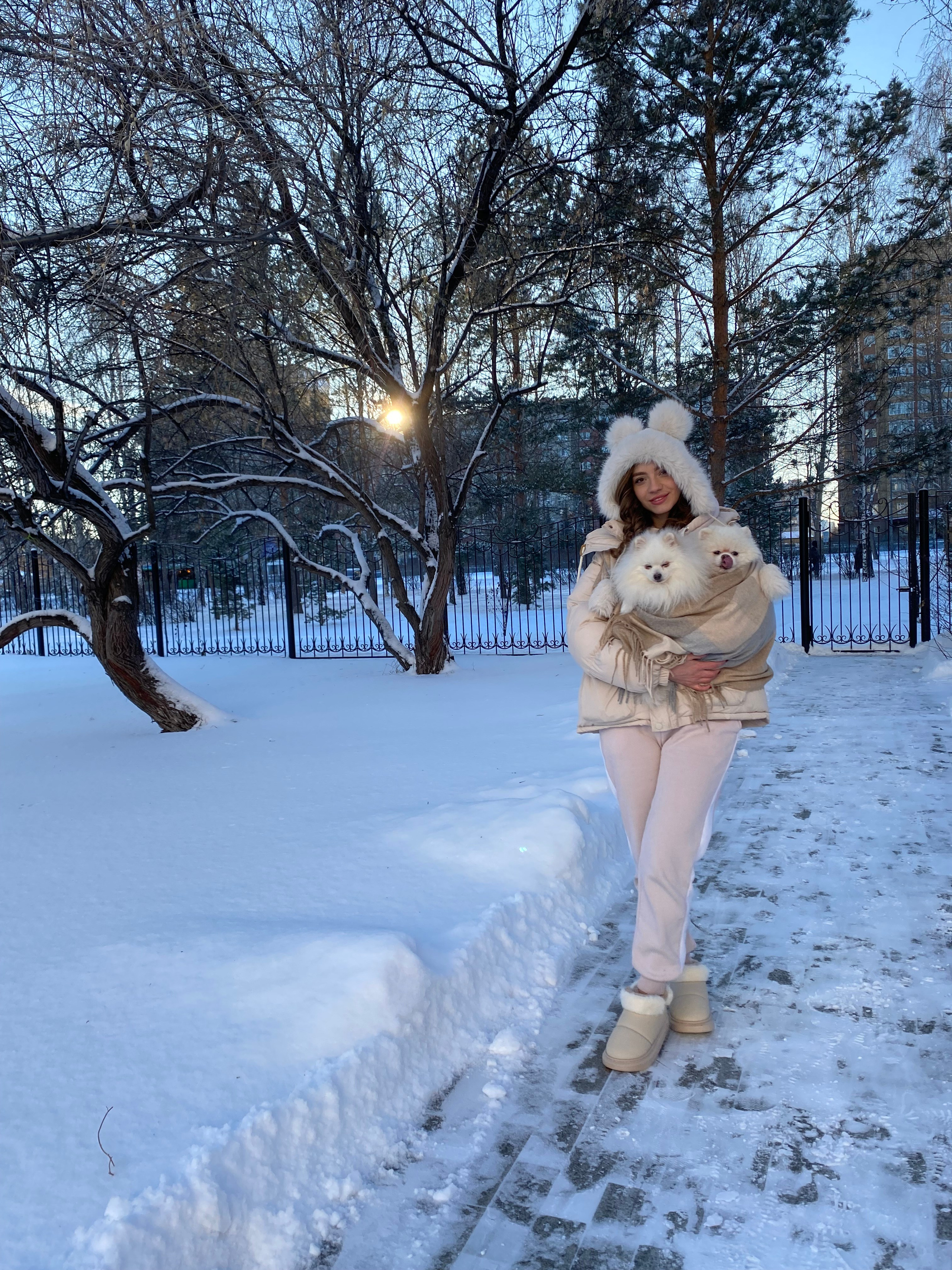 Юлия и шпицы