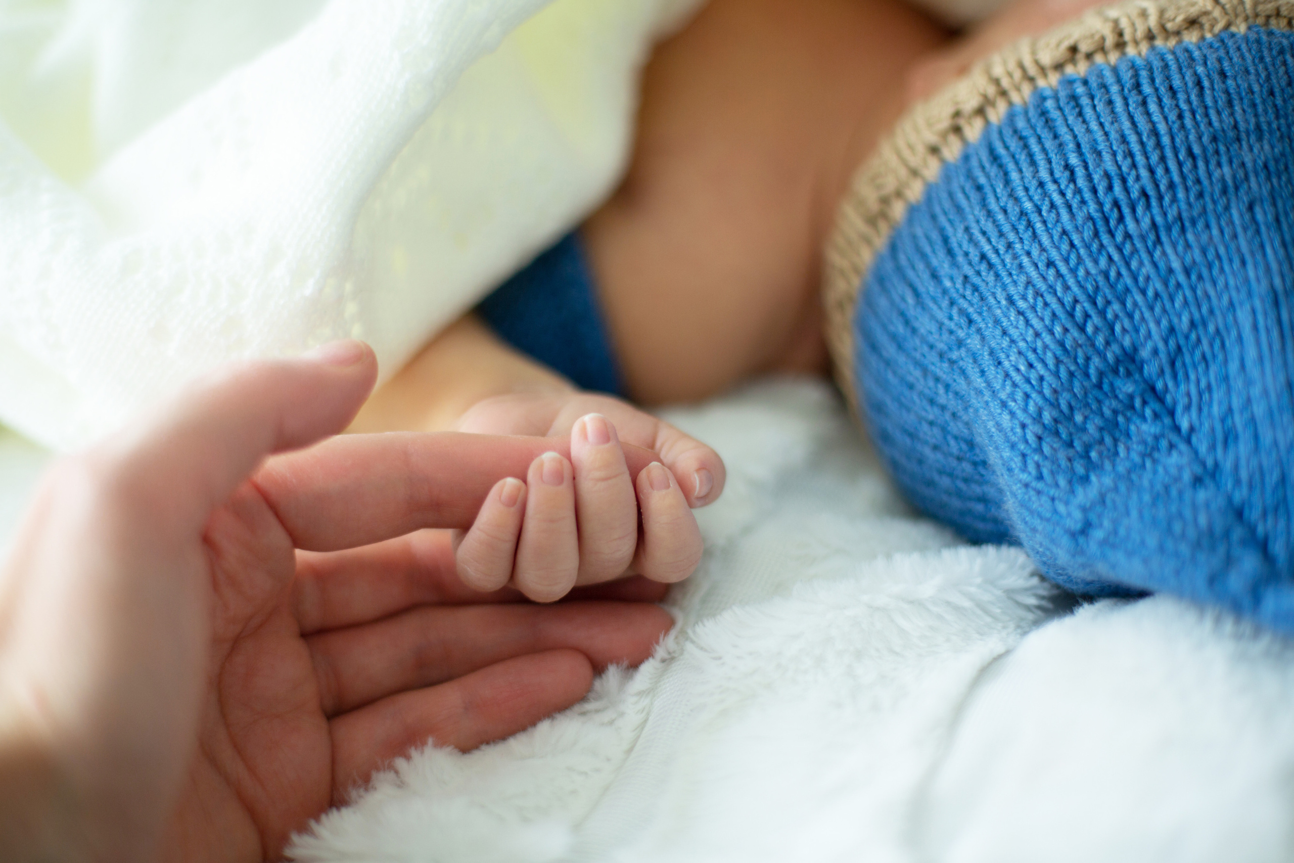 Максик. Семейный, детский и свадебный фотограф Мария Бутаева Санкт-Петербург