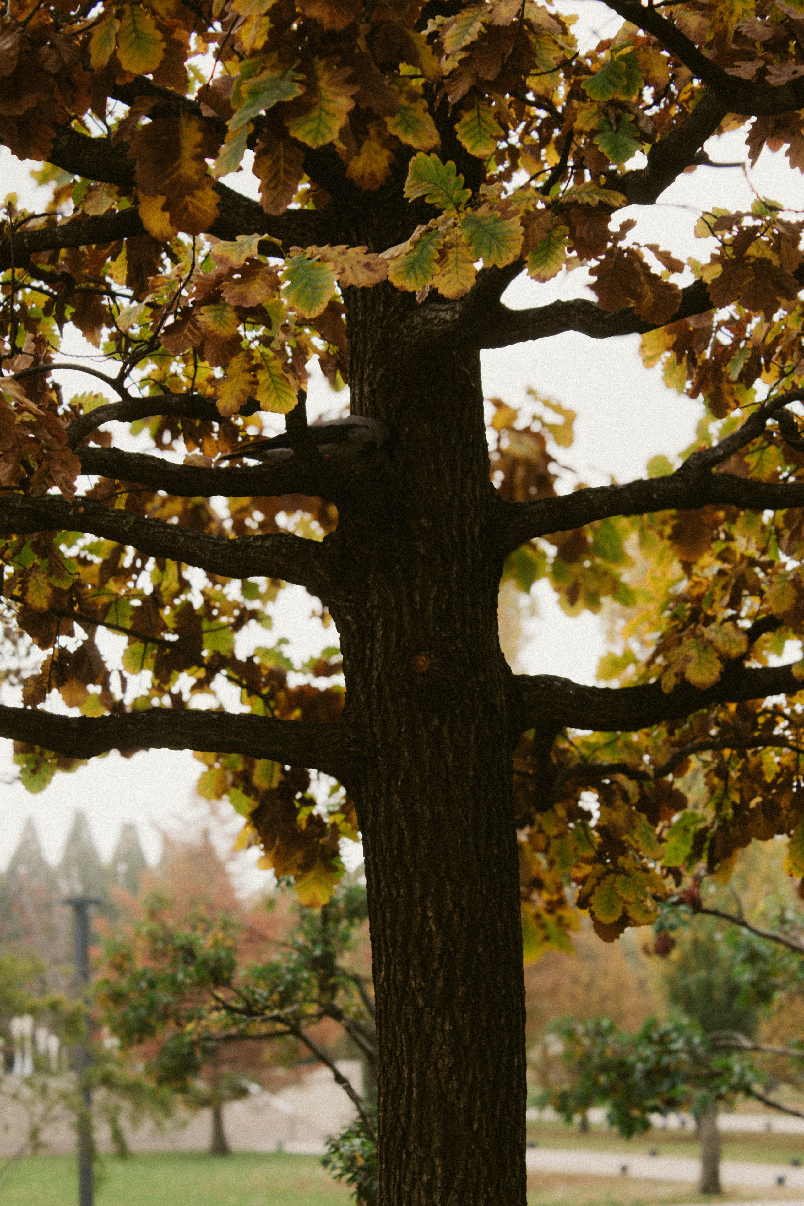 Лена|Парк Галицкого. Inga Simonova | Семейный и детский фотограф у моря