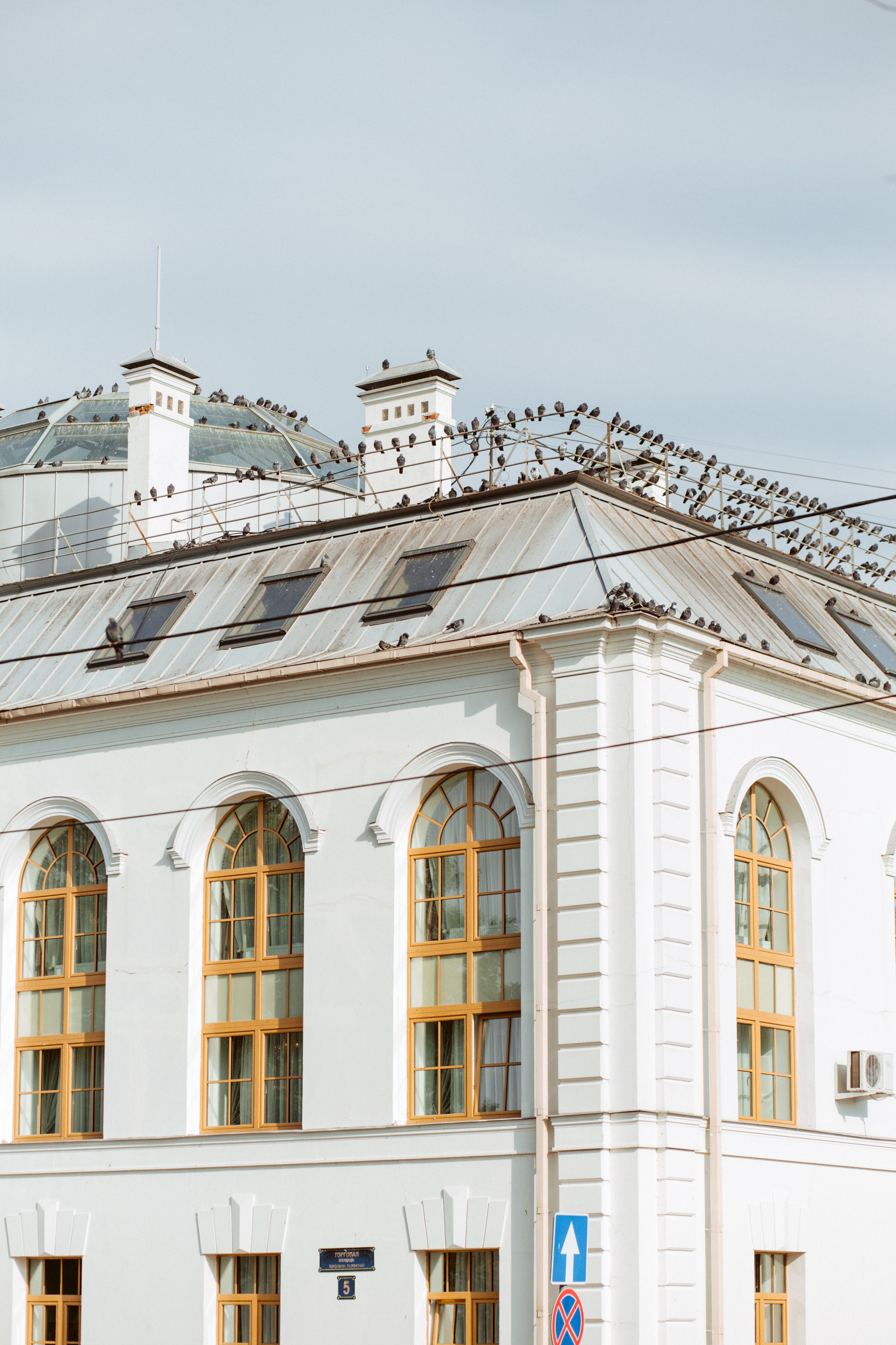 ФОТОСЕССИЯ В ПЕТЕРГОФЕ. ГДЕ СНИМАТЬ В ПЕТЕРГОФЕ