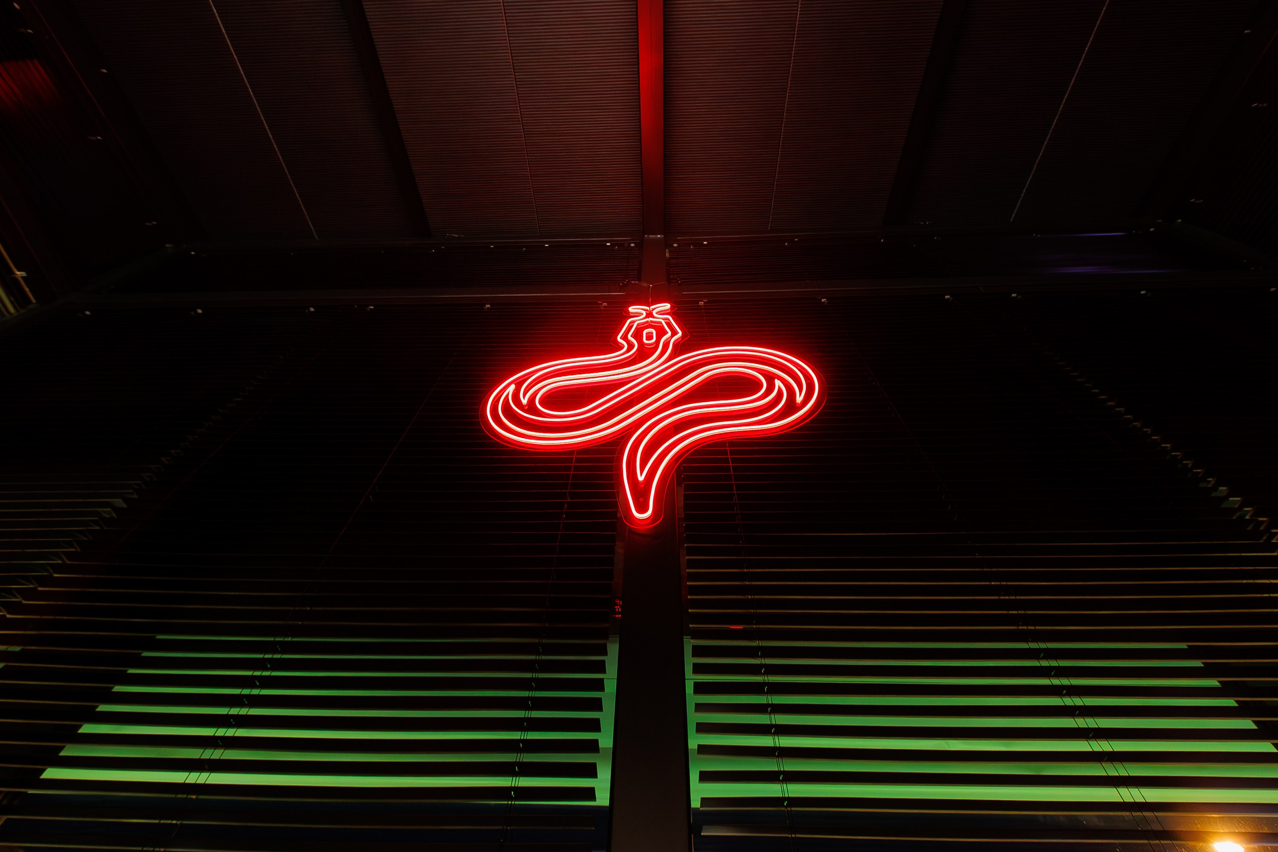 РЕЖЕНТ — HAPPY VALENTINES DAY. СВОИ. ФОТООТЧЕТЫ-СОБЫТИЯ-МЕСТА