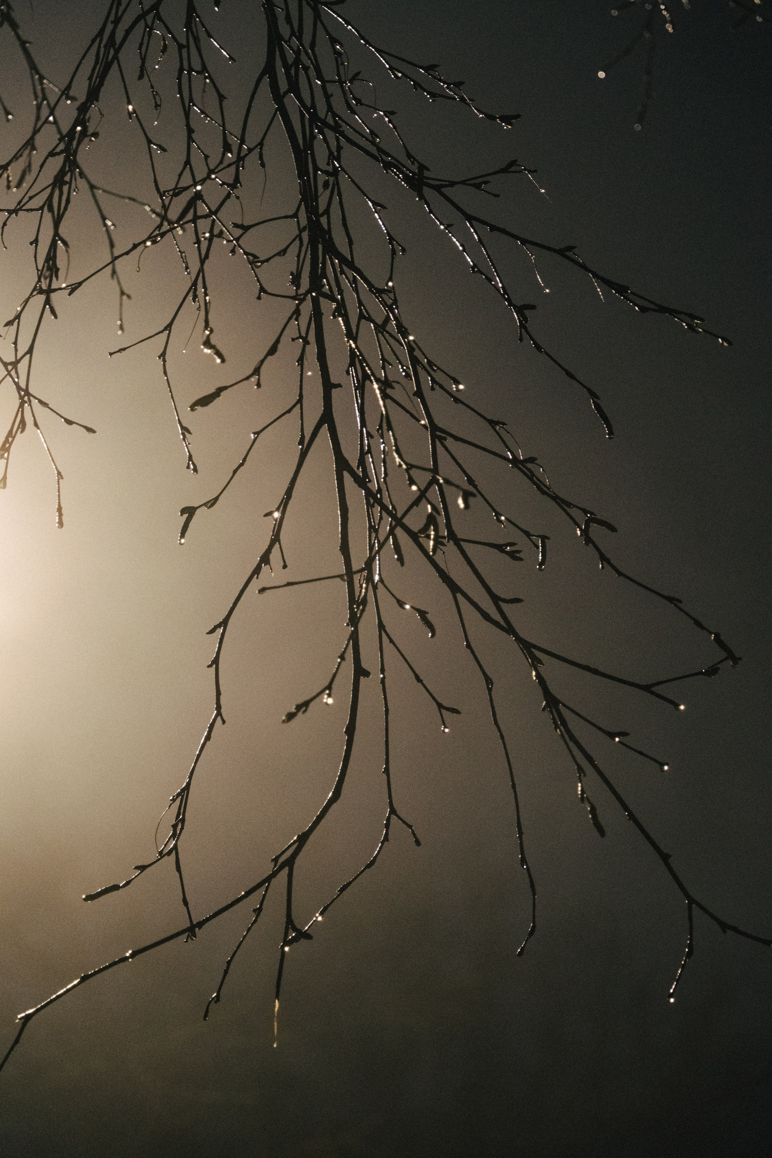 Великий Новгород моими глазами. Детский, семейный и ньюборн фотограф в Москве Юлия Шуарт
