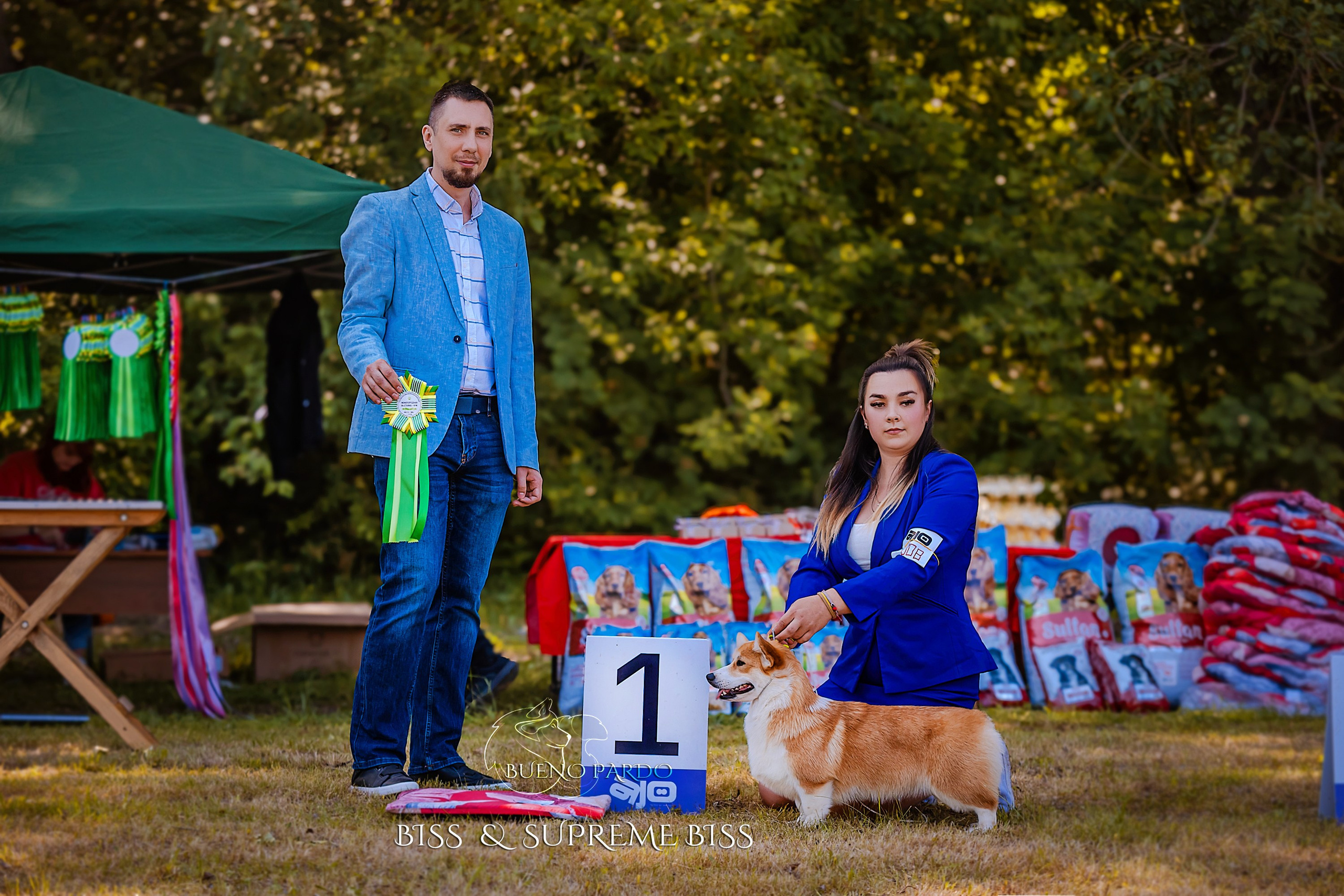 Собаки питомника Bueno Pardo. Питомник собак Акита, Хаски, Корги