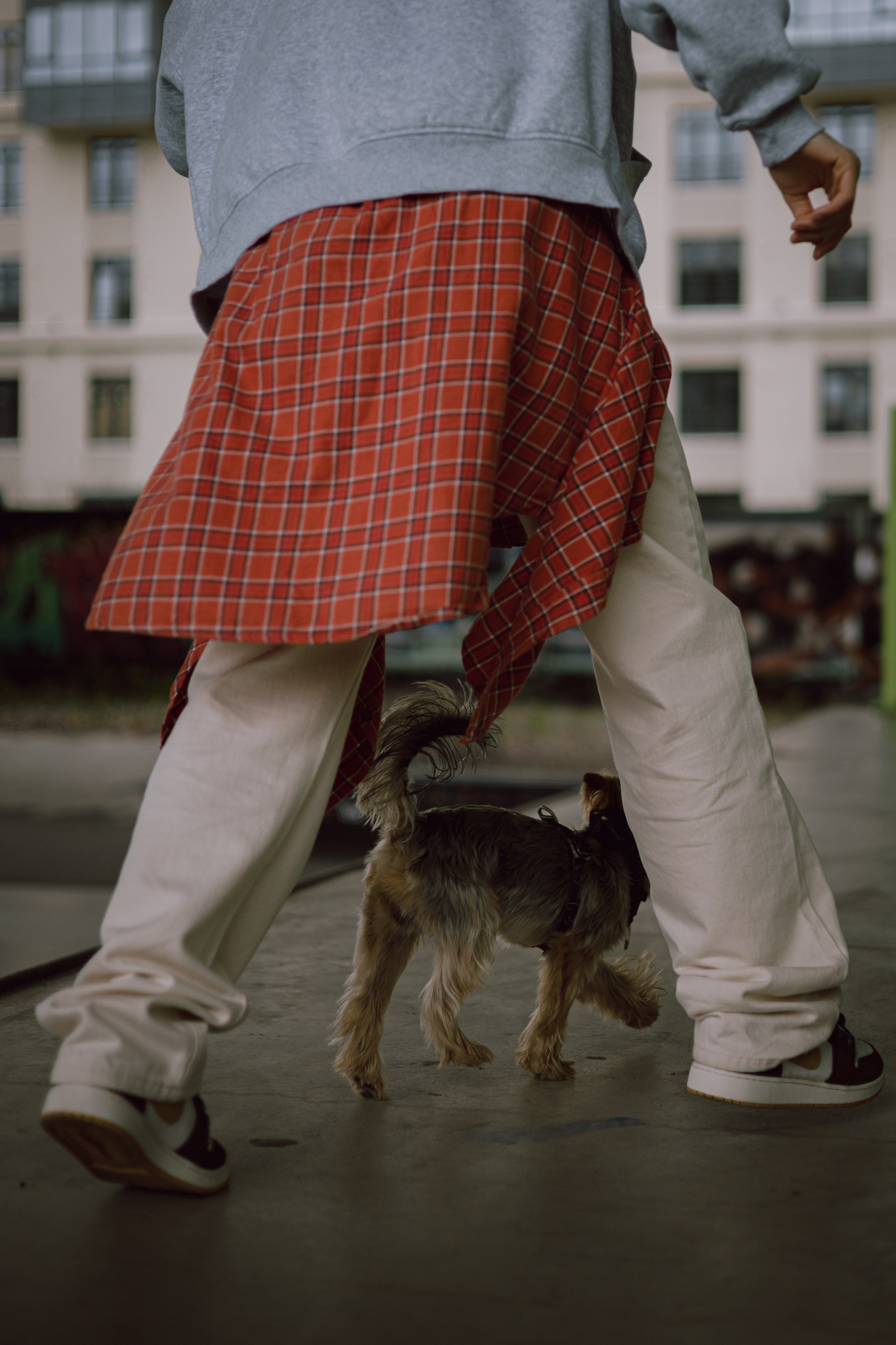 Андрей, Аня и Персик. Фотограф — анималист •love-story•|Санкт-Петербург