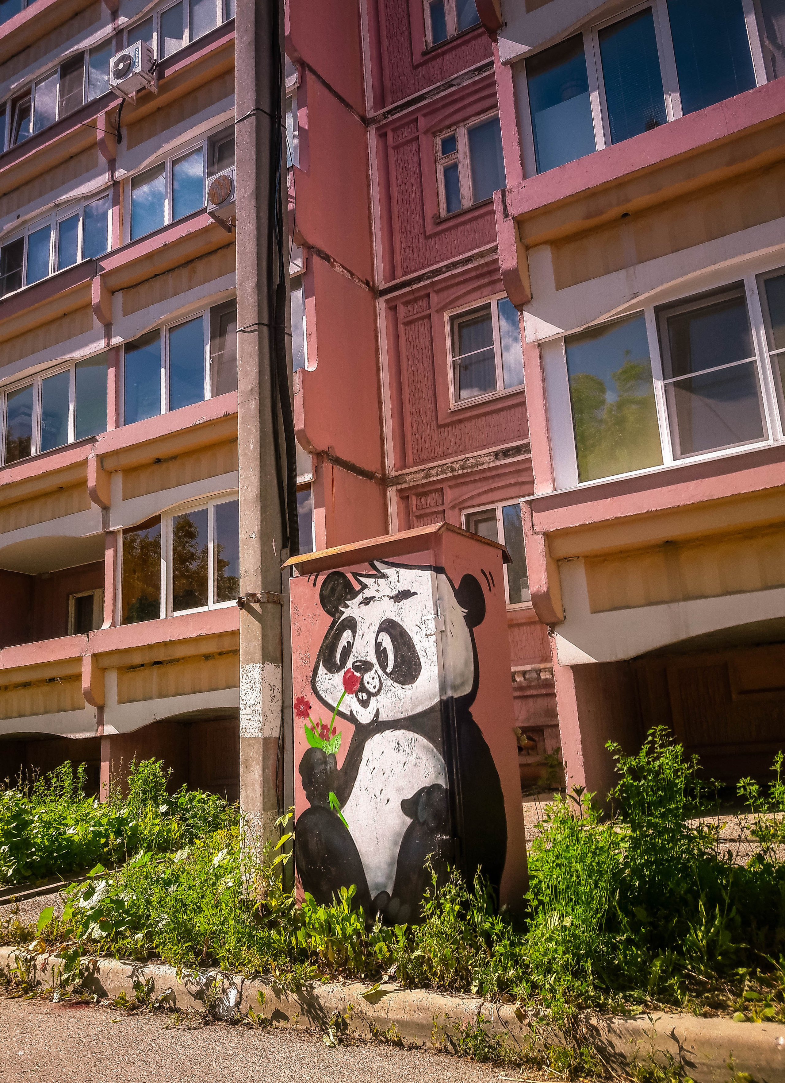Graffiti. Alexander Stan Shimanov