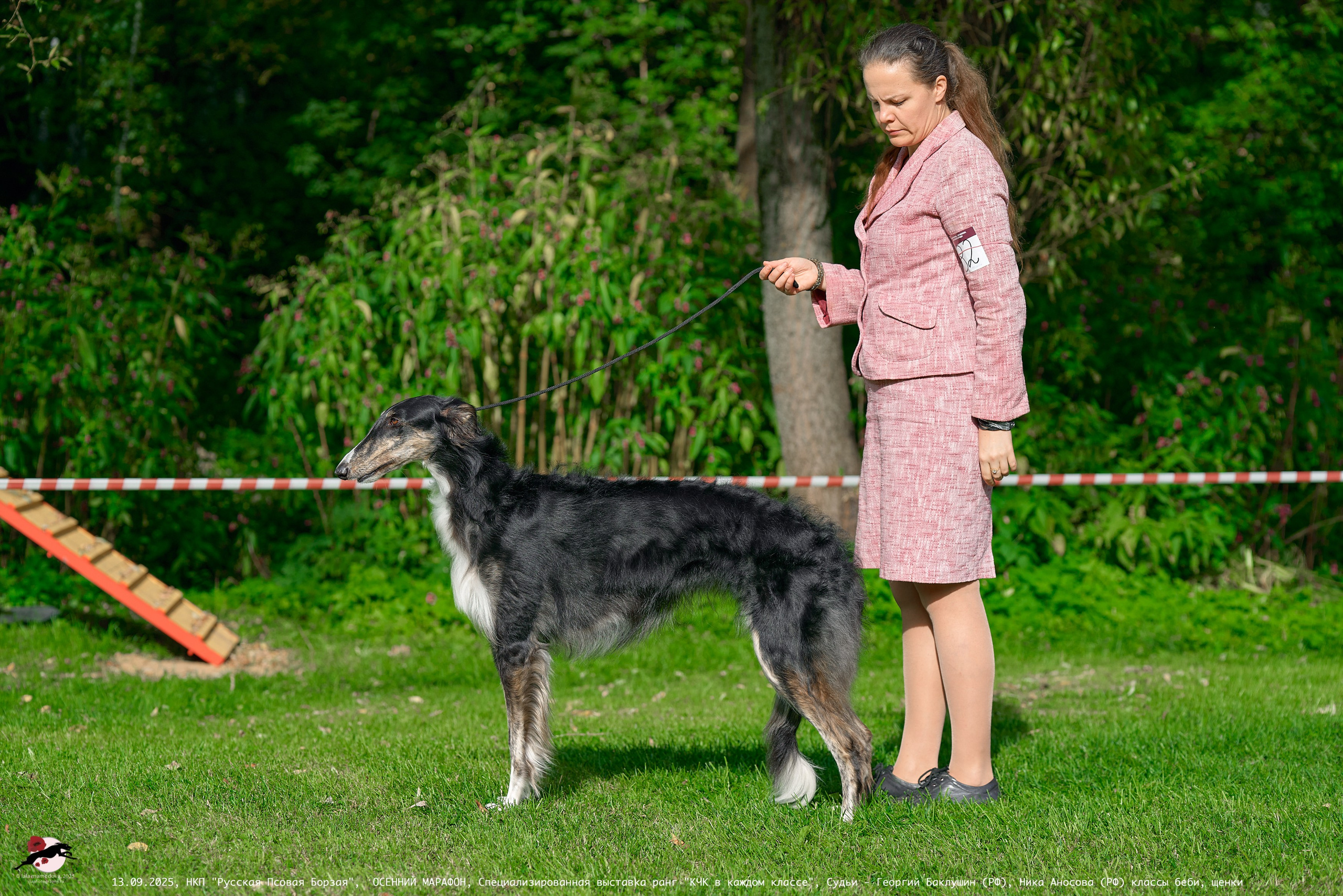 ОСЕННИЙ МАРАФОН | Специализированная выставка породы Русская Псовая Борзая ранг "КЧК в каждом классе"