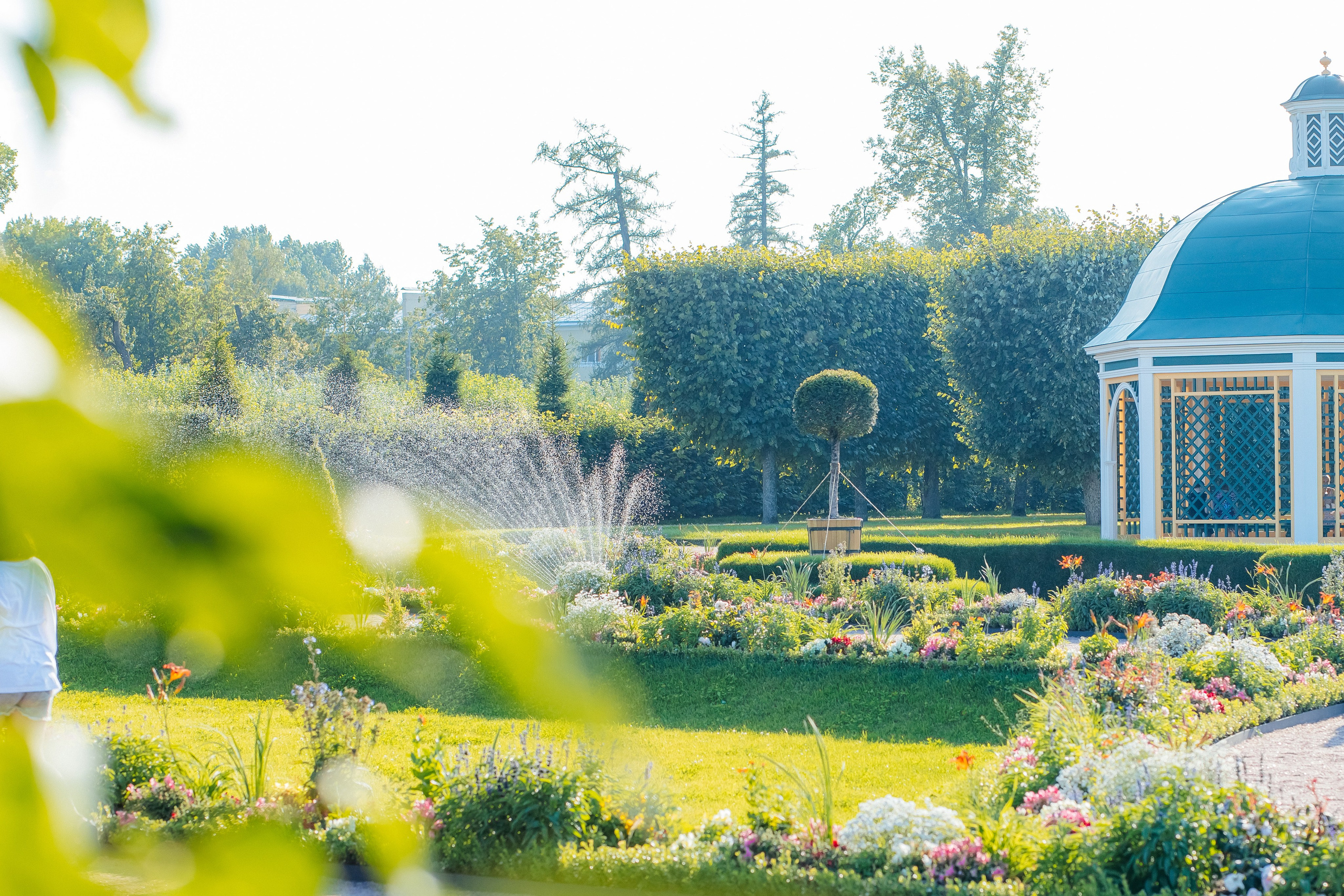 ФОТОСЕССИЯ В ПЕТЕРГОФЕ. ГДЕ СНИМАТЬ В ПЕТЕРГОФЕ