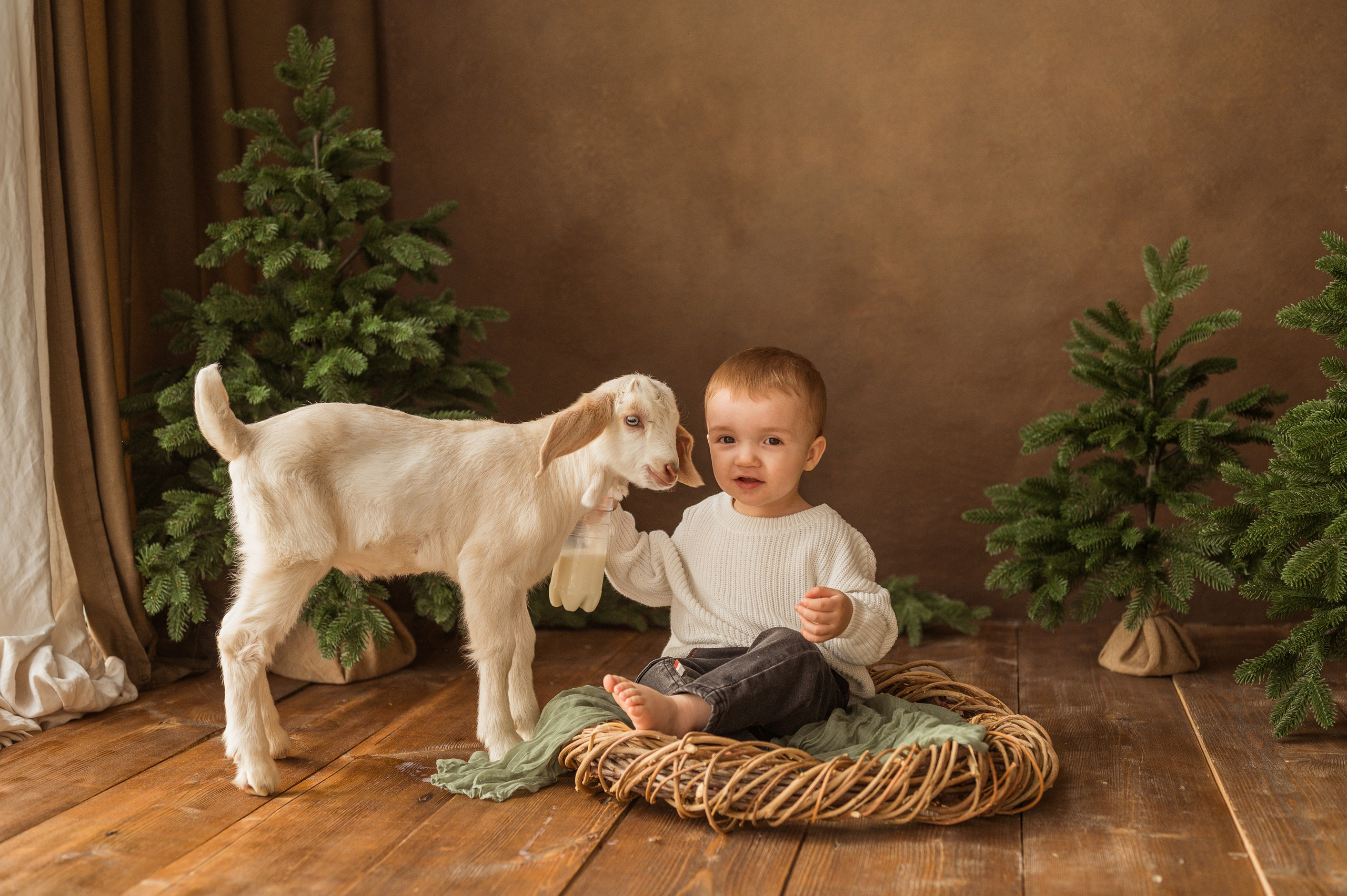 Данечка, Артем и козлик. Детский и семейный фотограф Ирина Гладких