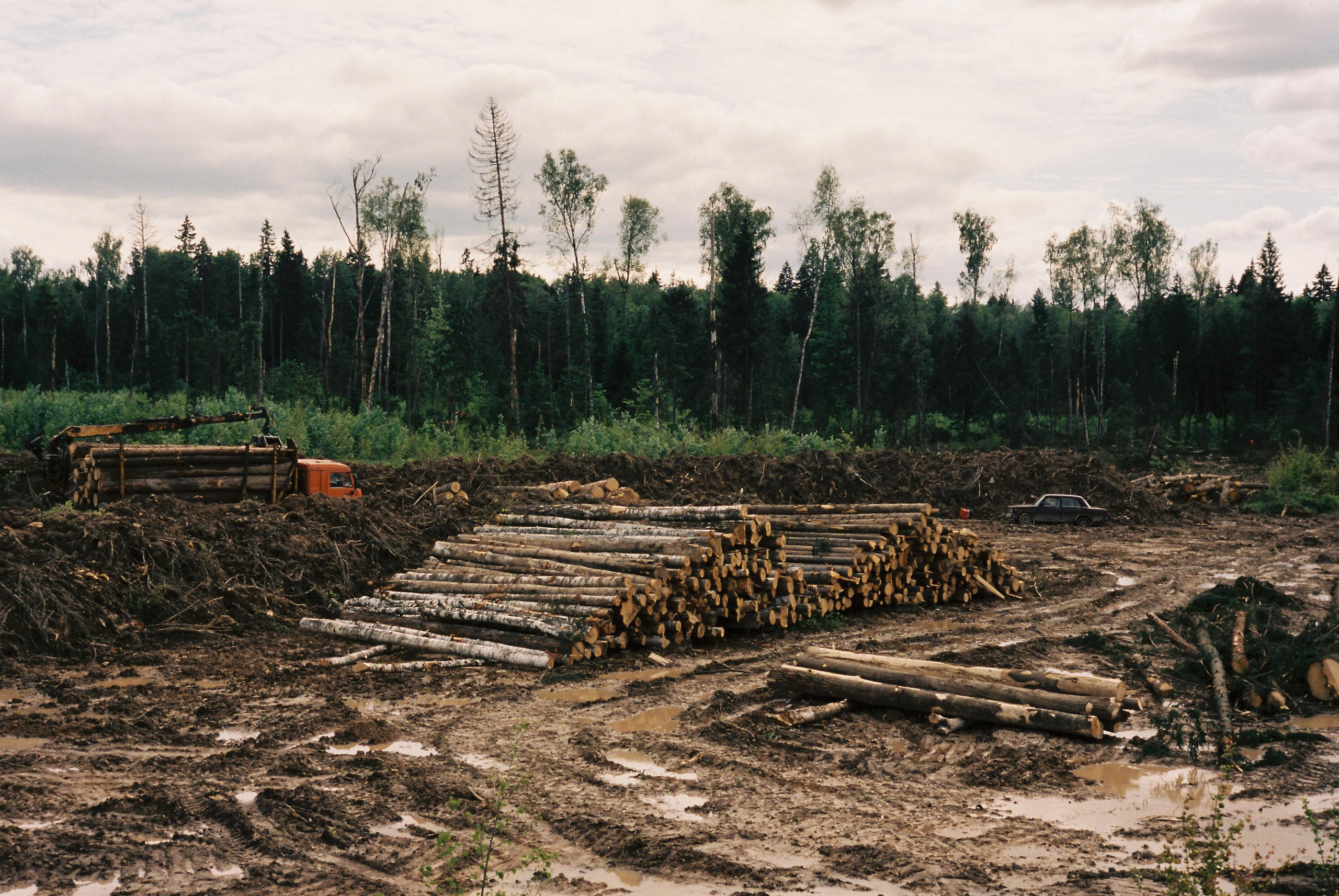 Dachnaya and other territories of Kiyevskaya railway stations. Igor Tereshkov