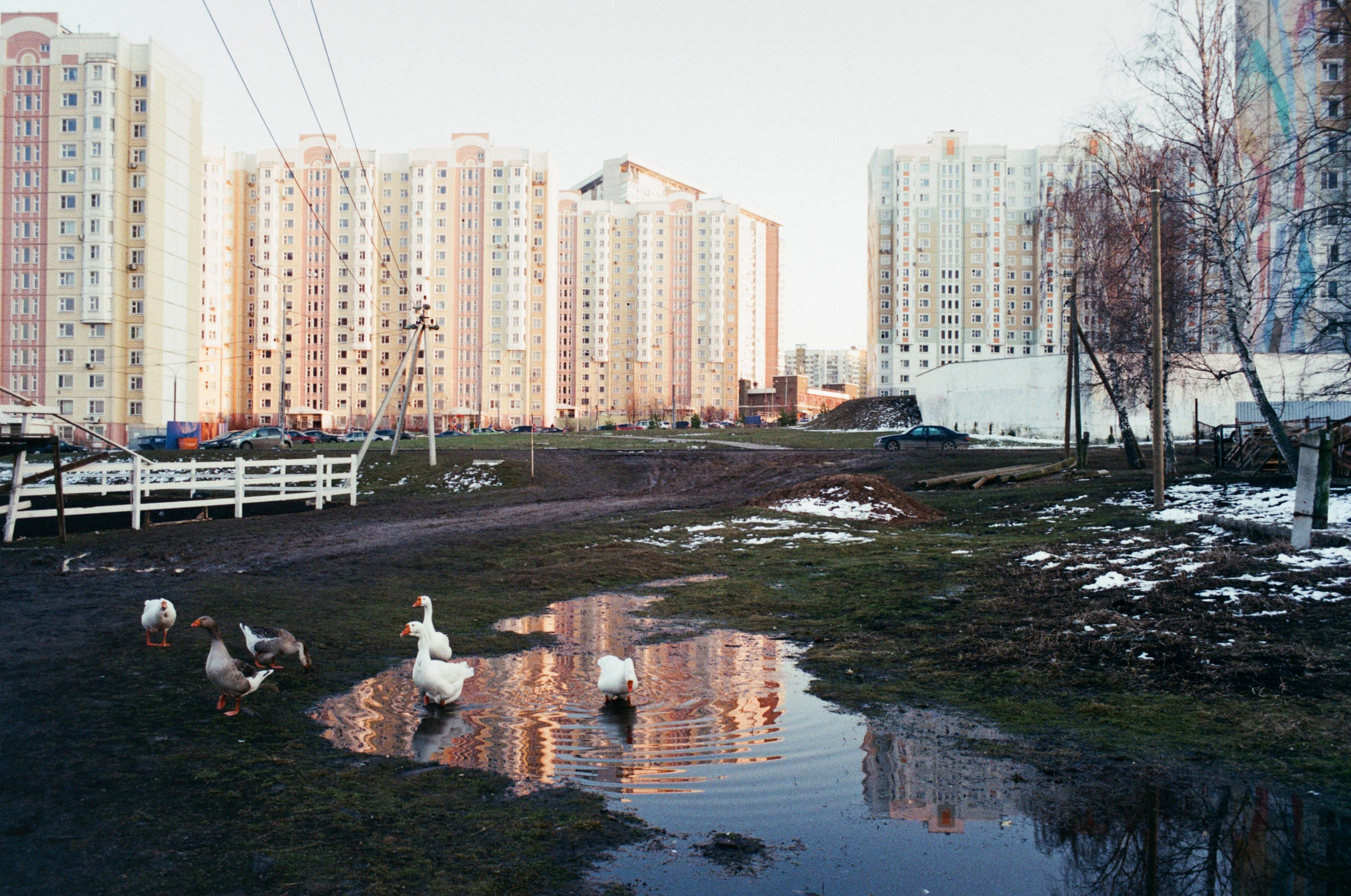 Dachnaya and other territories of Kiyevskaya railway stations. Igor Tereshkov