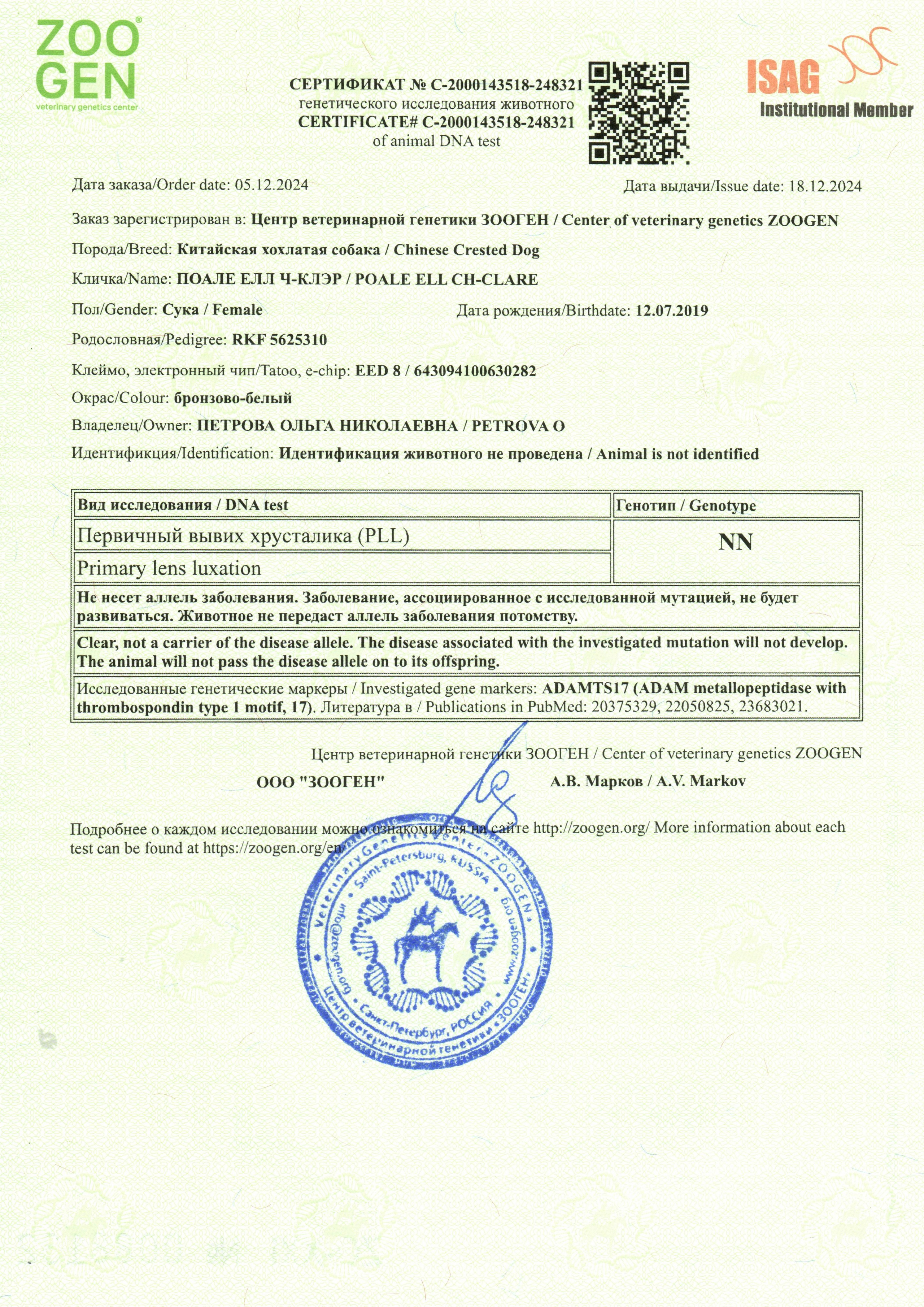 Poale Ell Clare. Chinese Crested Dog Kennel Poale Ell