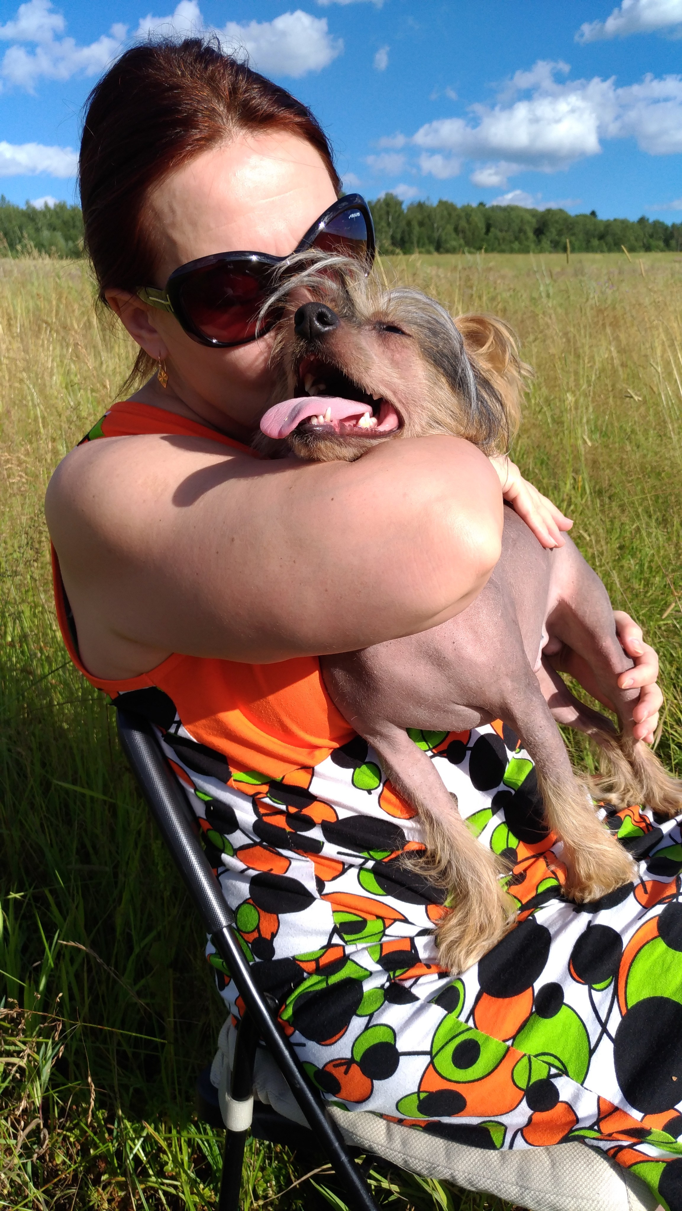 В поле под присмотром сокола. Питомник китайских хохлатых собак Poale Ell: купить щенка в питомнике