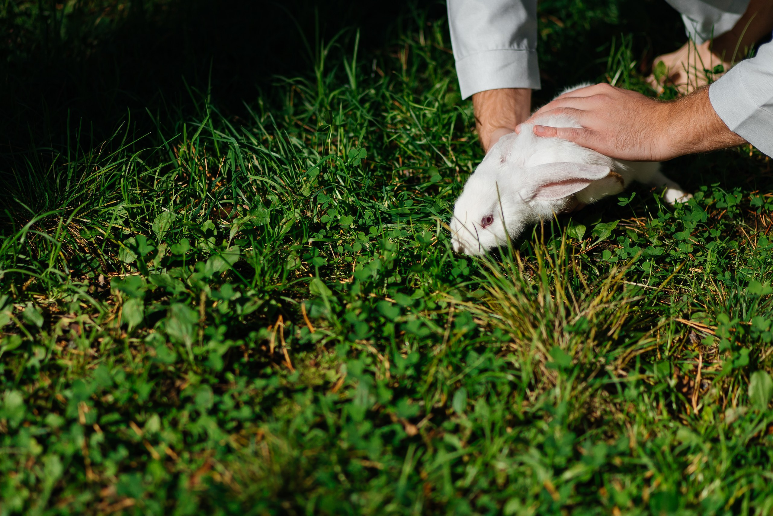 Егор и Юля. Организатор мероприятий в Абакане I Ольга Петухова