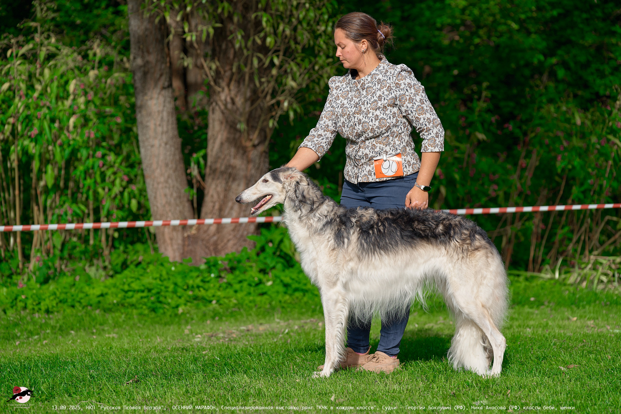 ОСЕННИЙ МАРАФОН | Специализированная выставка породы Русская Псовая Борзая ранг "КЧК в каждом классе"
