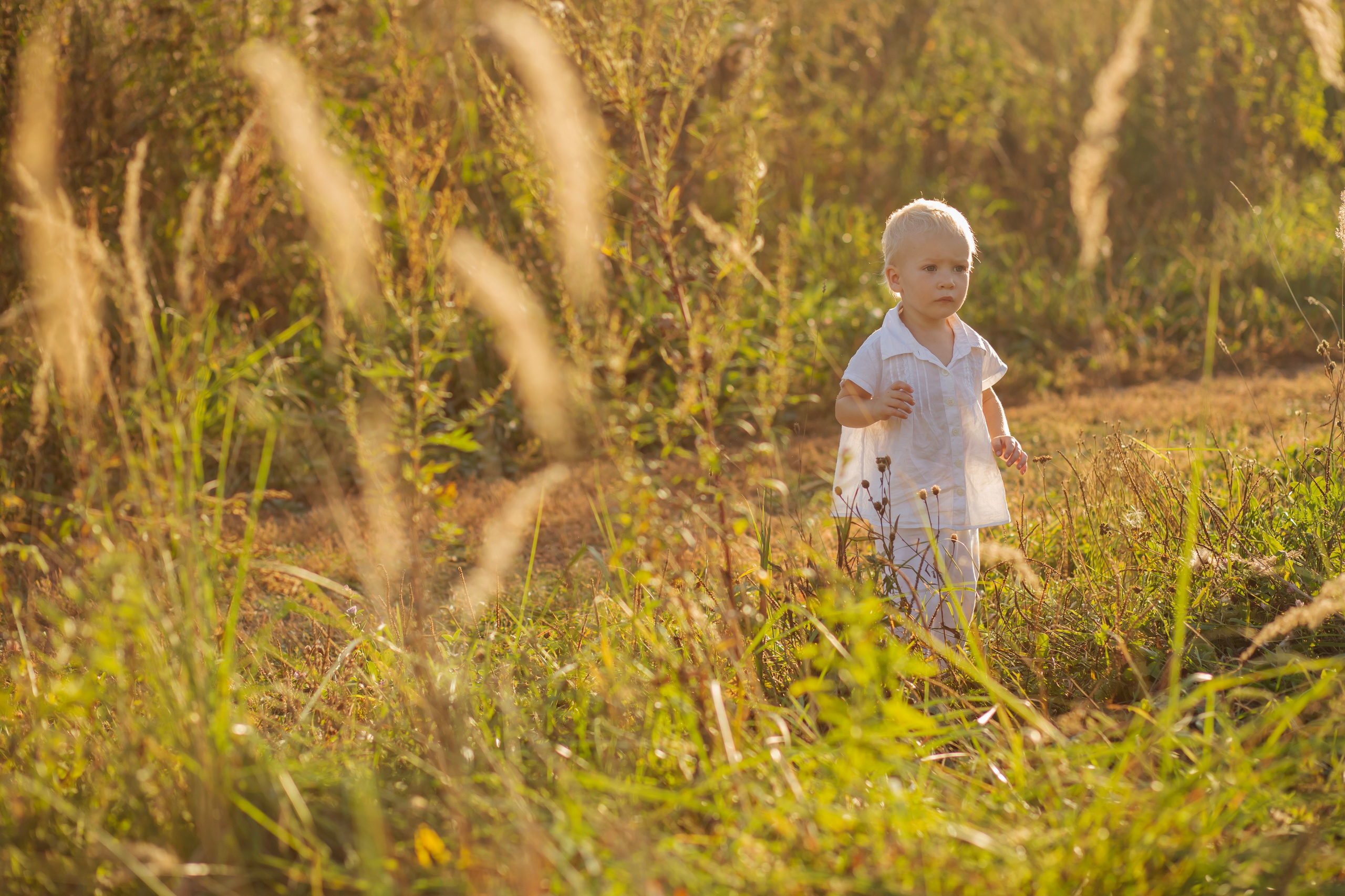 В поле…. Семейный и детский фотограф в Москве и МО — Александра