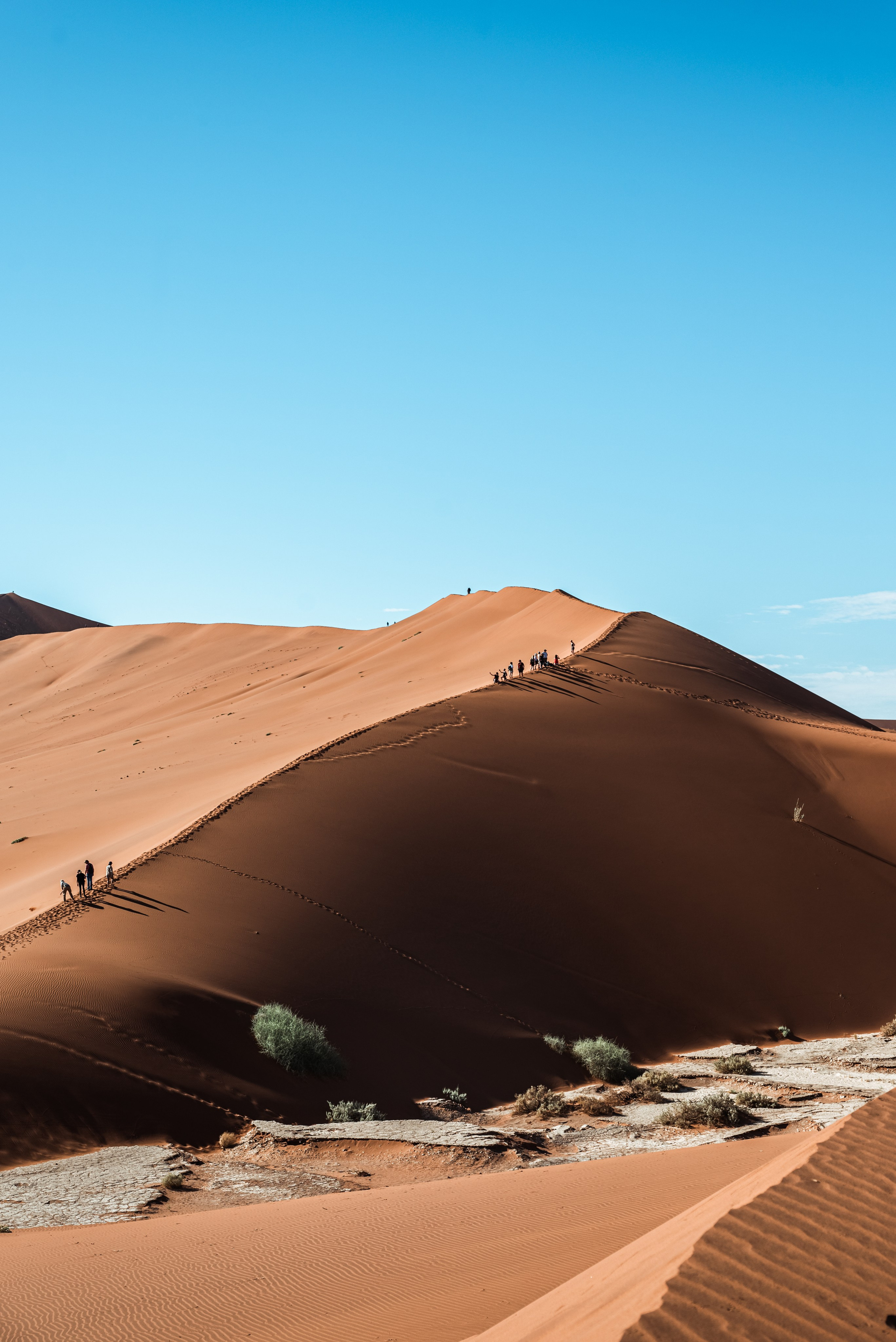 Выставки. Фотограф Дарья Сафонова Dashulkacss